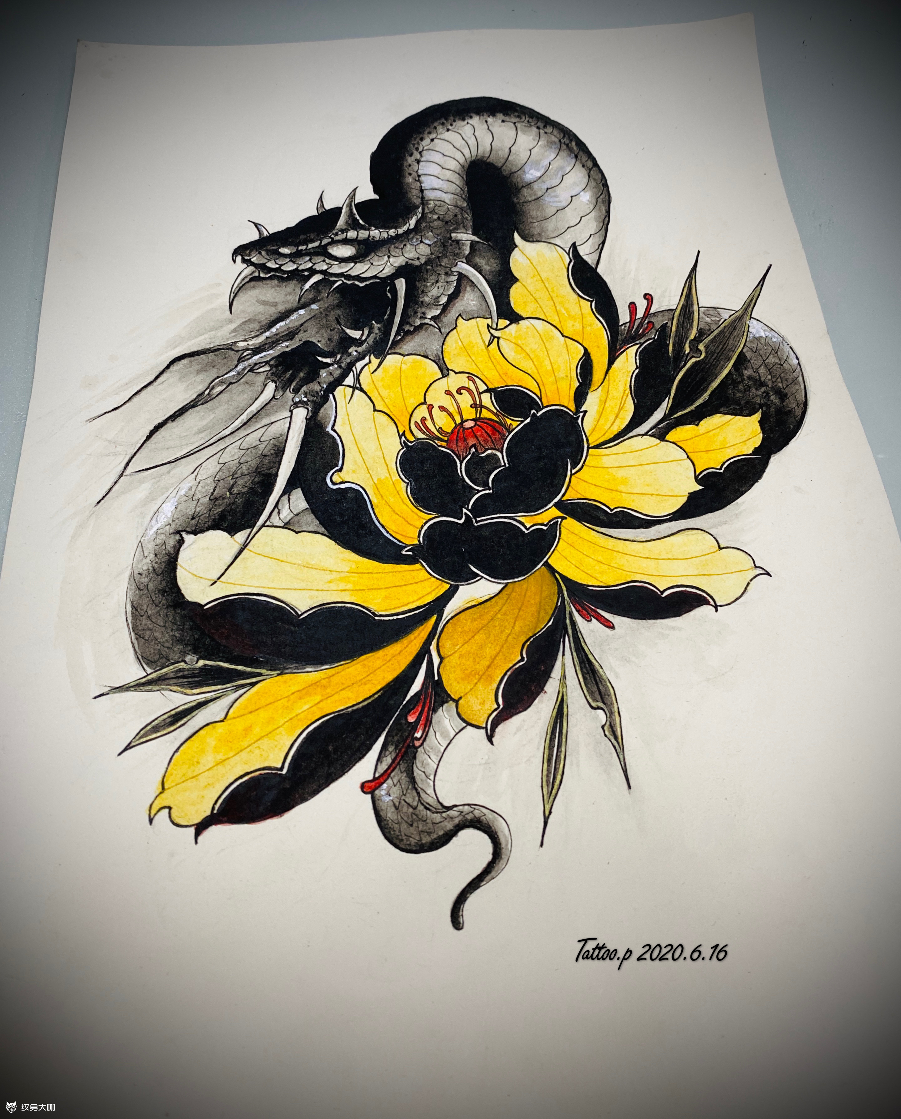 蛇与牡丹_纹身图案手稿图片_tat—深奥的纹身作品集