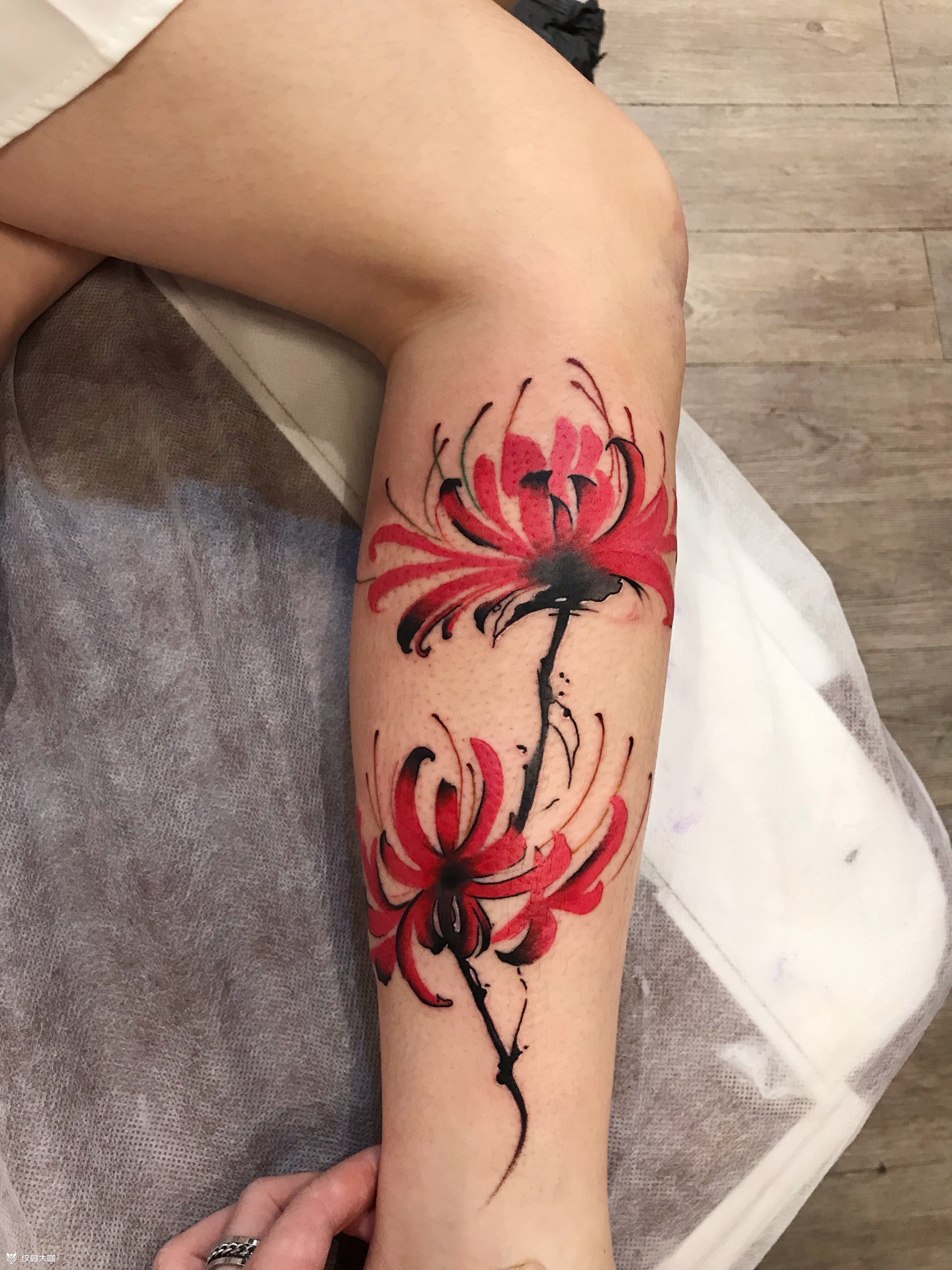 彼岸花_纹身图案手稿图片_雕眞的纹身作品集