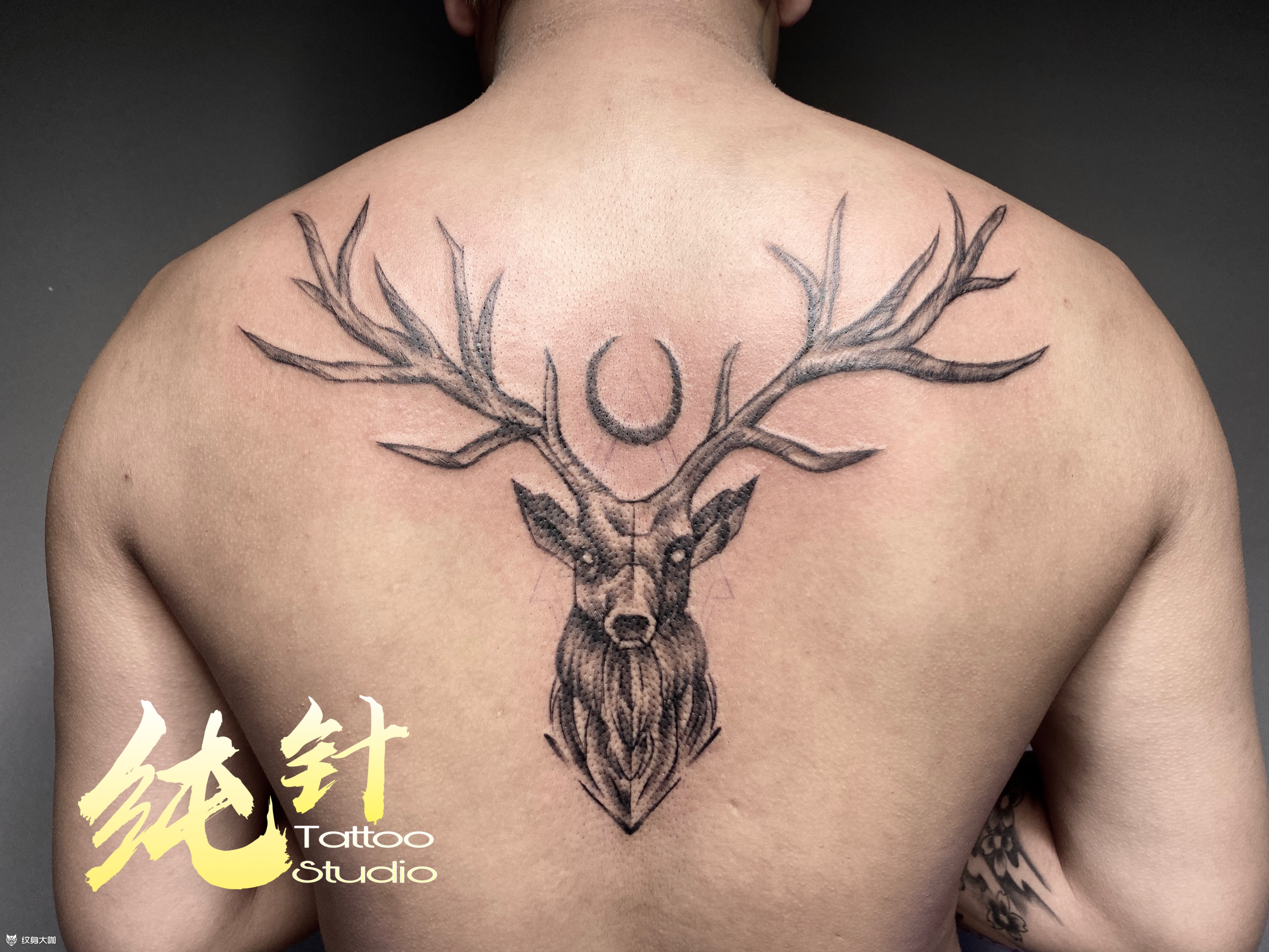 转运鹿_纹身图案手稿图片_big baby 的纹身作品集