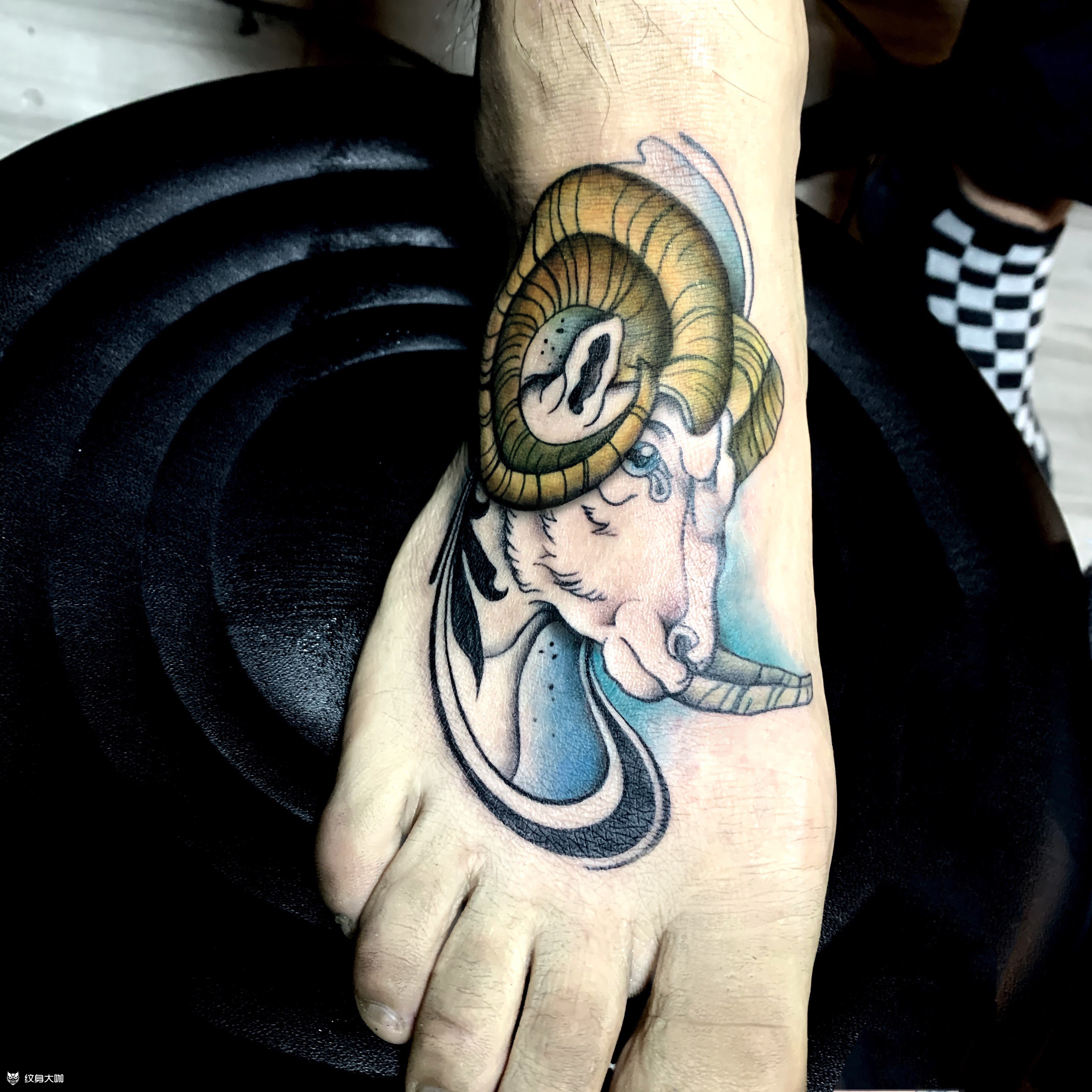 羊头newschool_纹身图案手稿图片_c c的纹身作品集