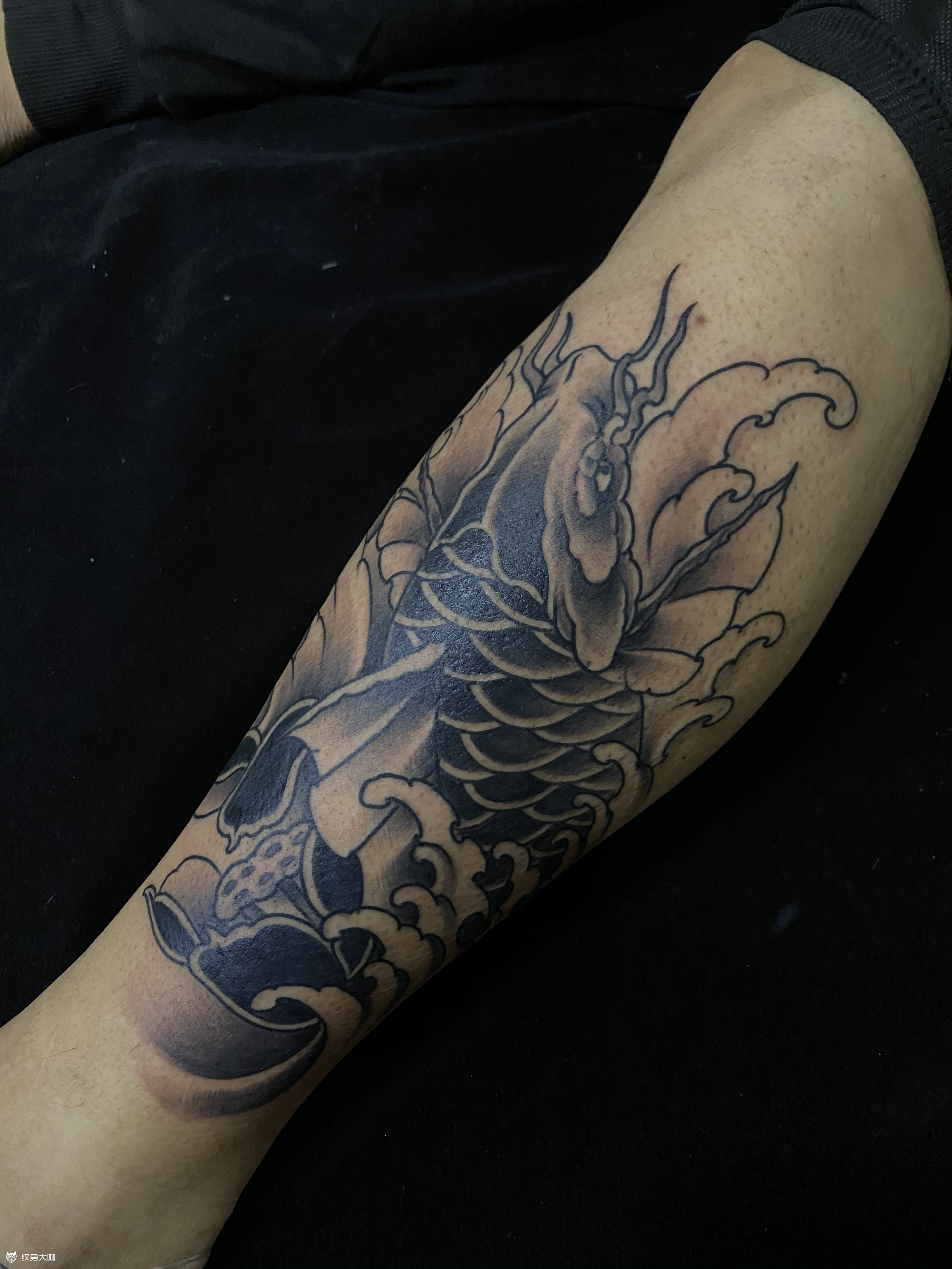 鲤鱼_纹身图案手稿图片_小涛的纹身作品集