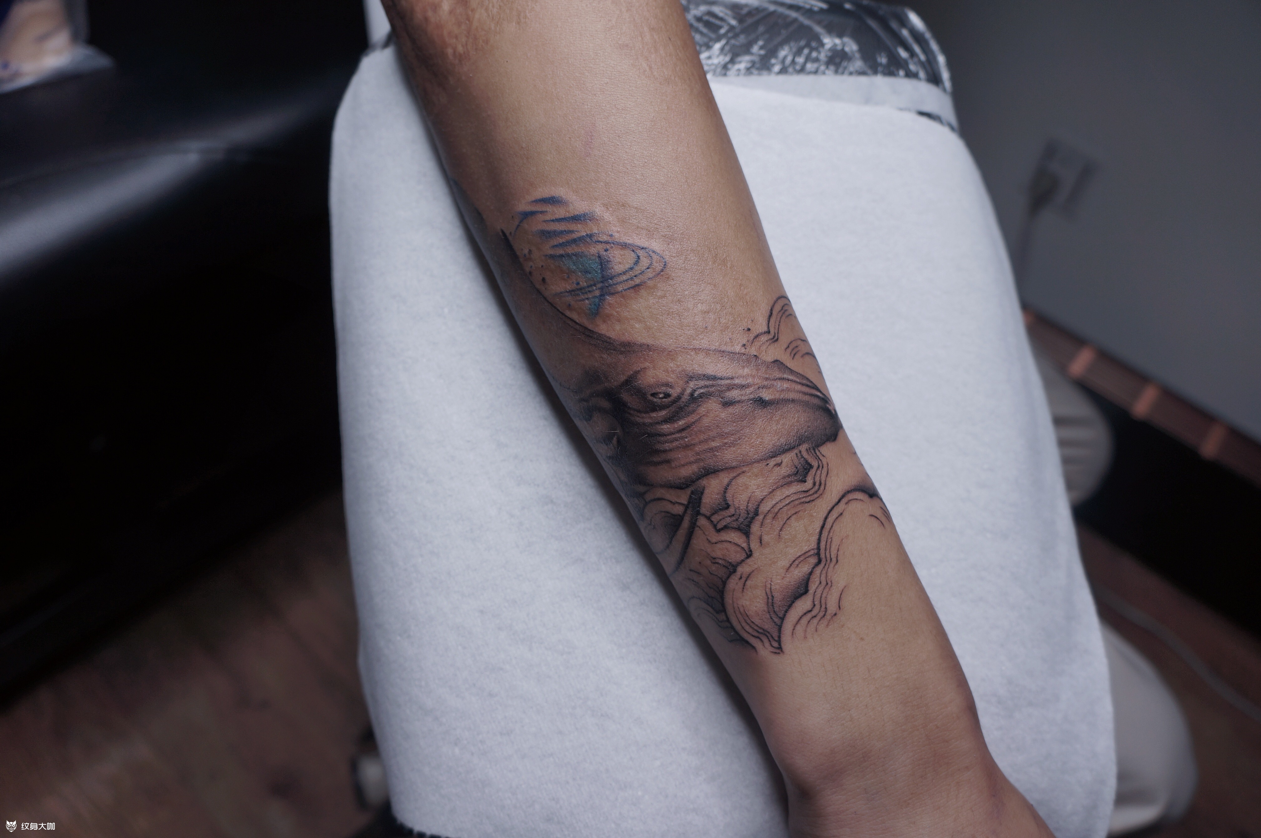 疤痕遮盖-鲲_纹身图案手稿图片_成都wow tattoo 的纹身作品集