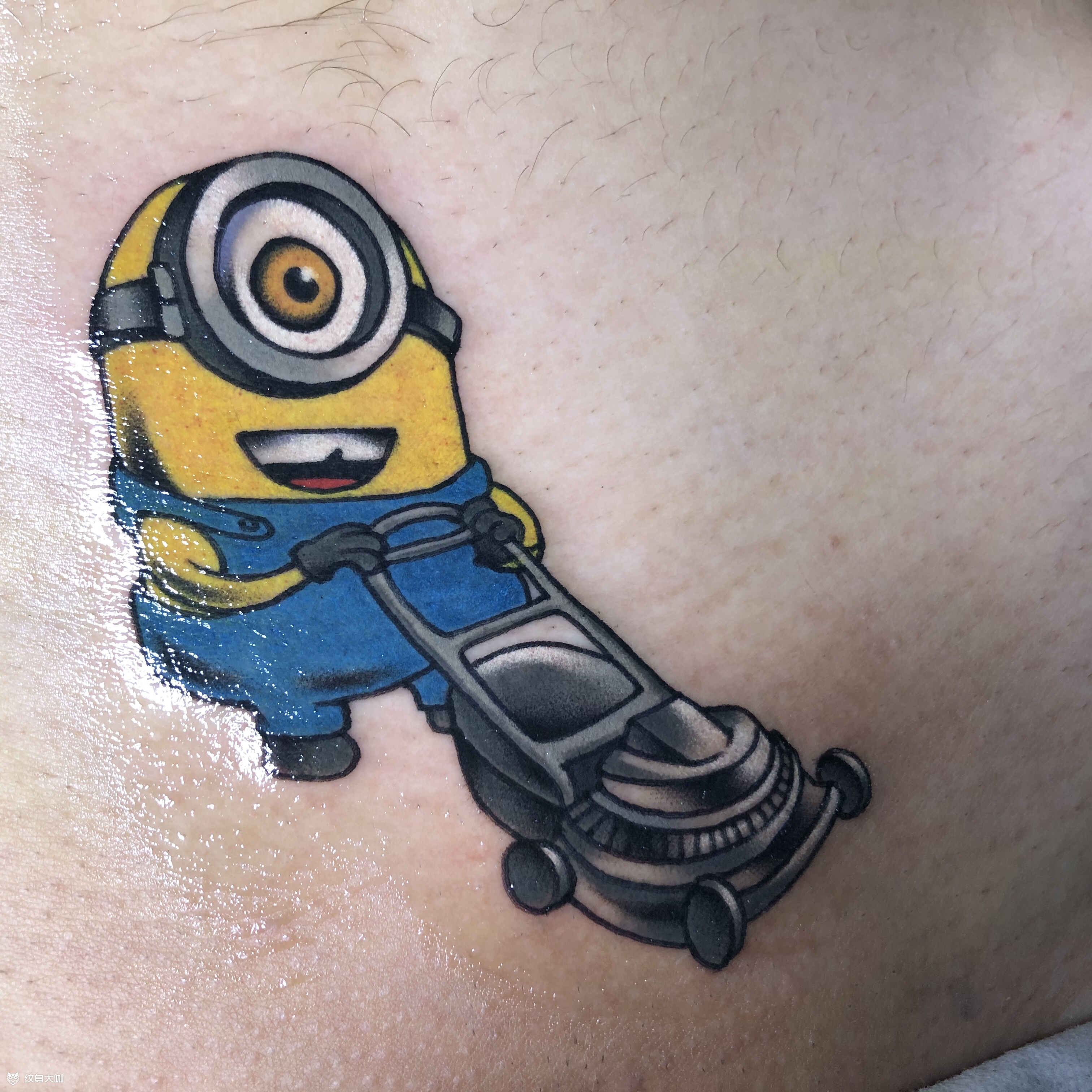 小黄人割草机南京的朋友来成都_纹身吧社区 - 纹身大咖