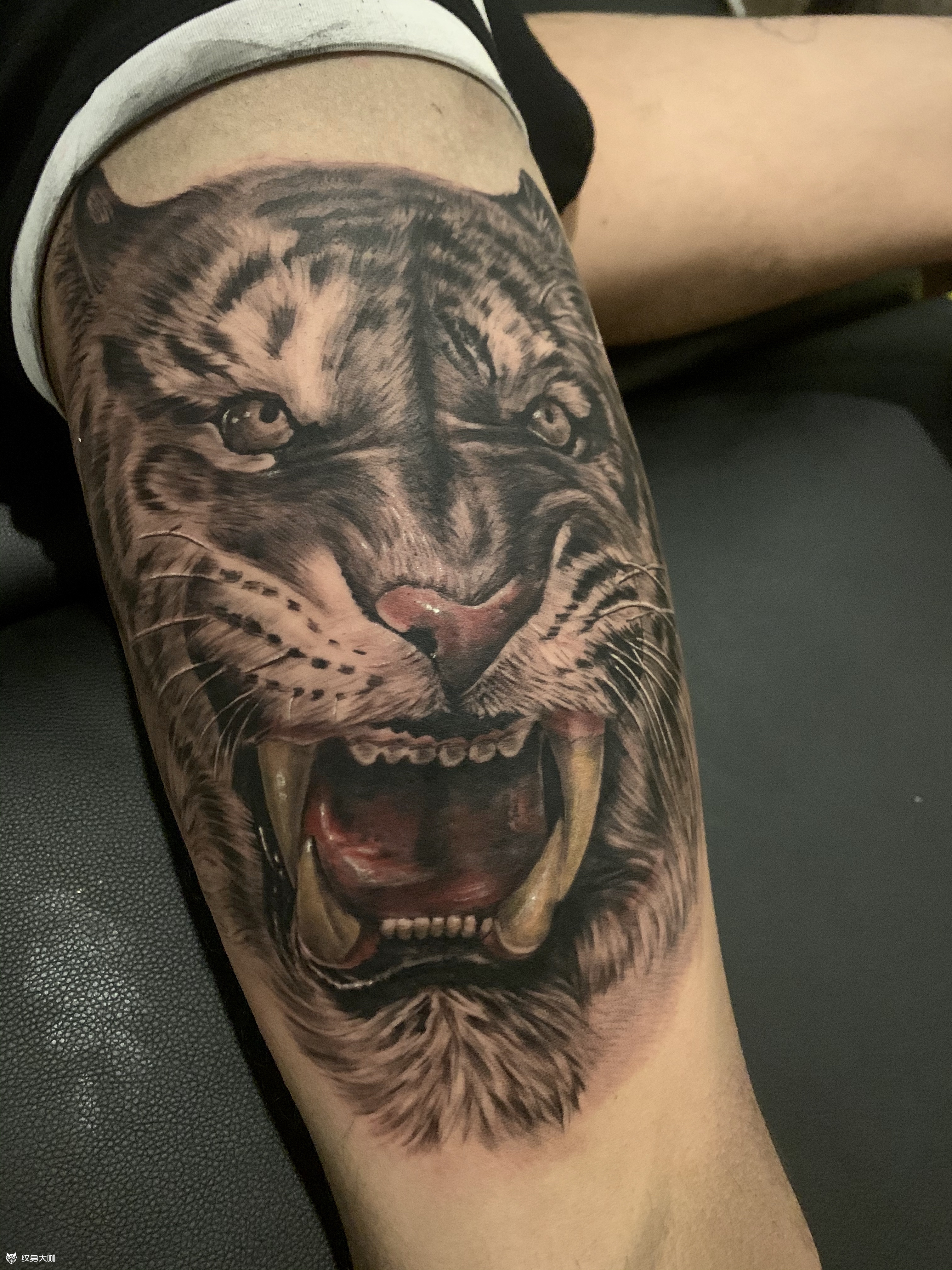 老虎_纹身图案手稿图片_钛白的纹身作品集