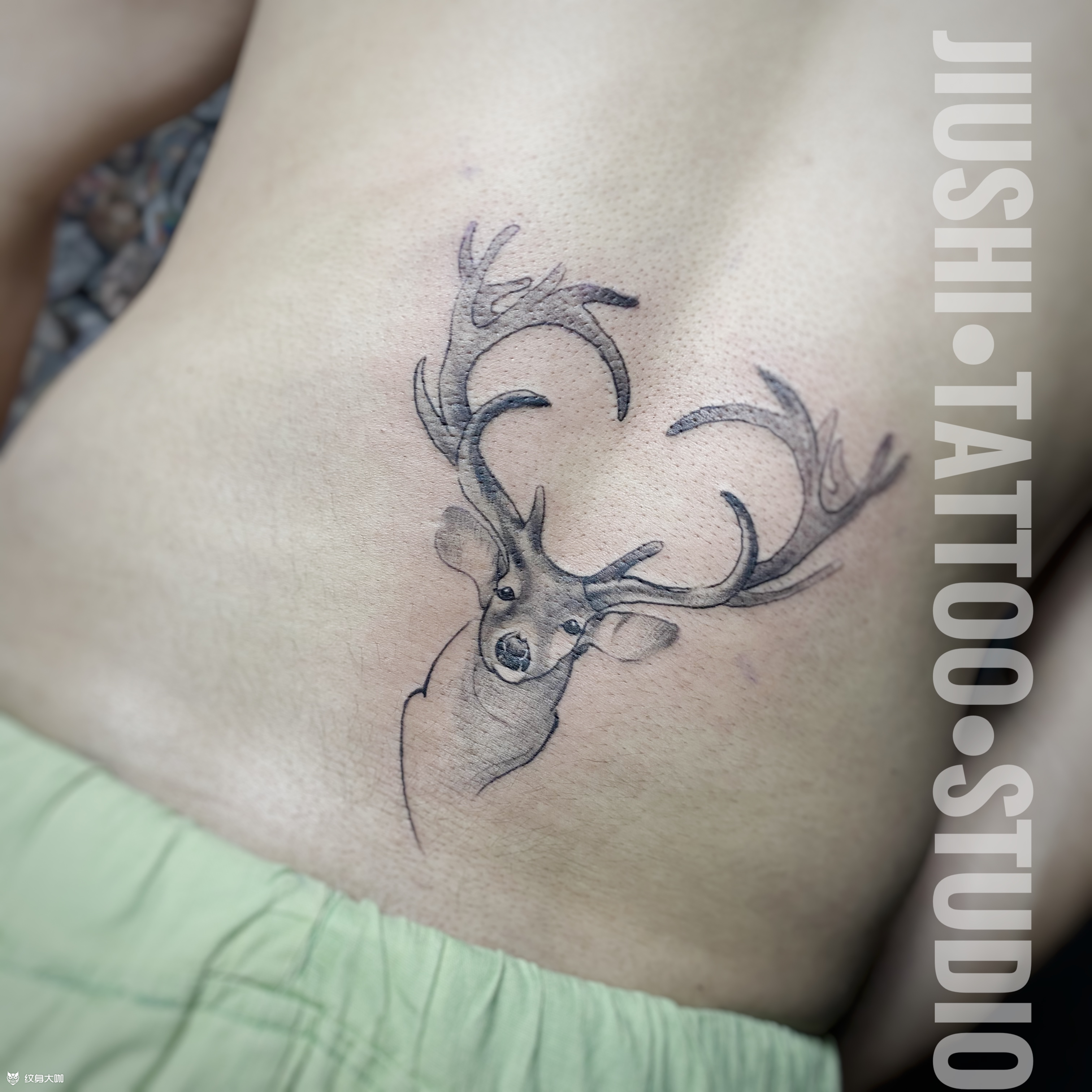 麋鹿_纹身图案手稿图片_小九啊的纹身作品集