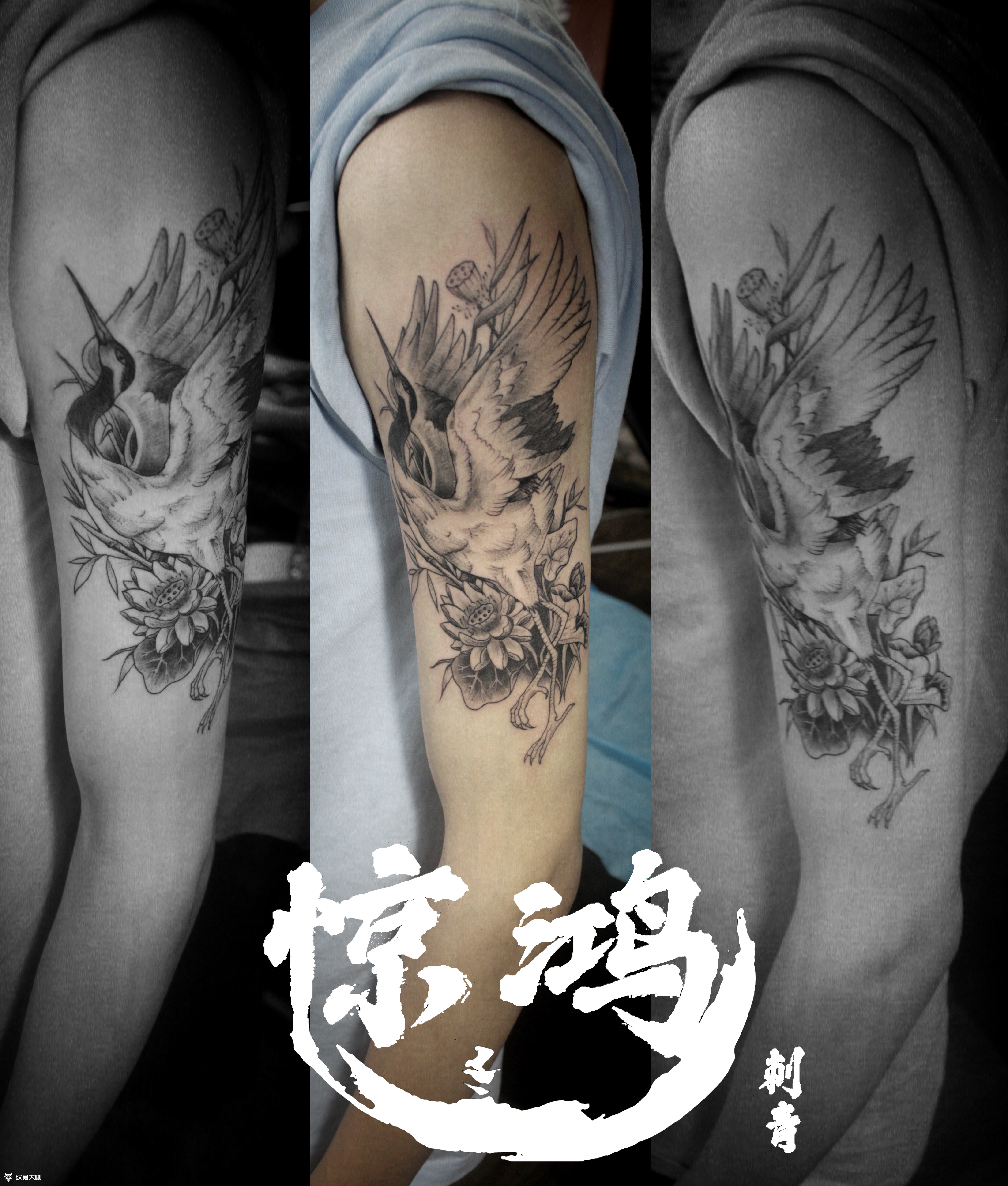 大臂仙鹤_纹身图案手稿图片_梦游的纹身作品集