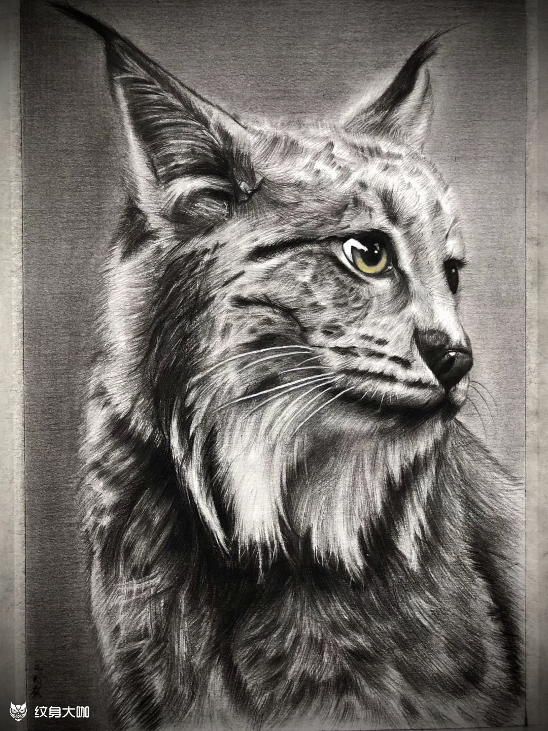 作品简介:素描作品 临摹临摹不是照片哈