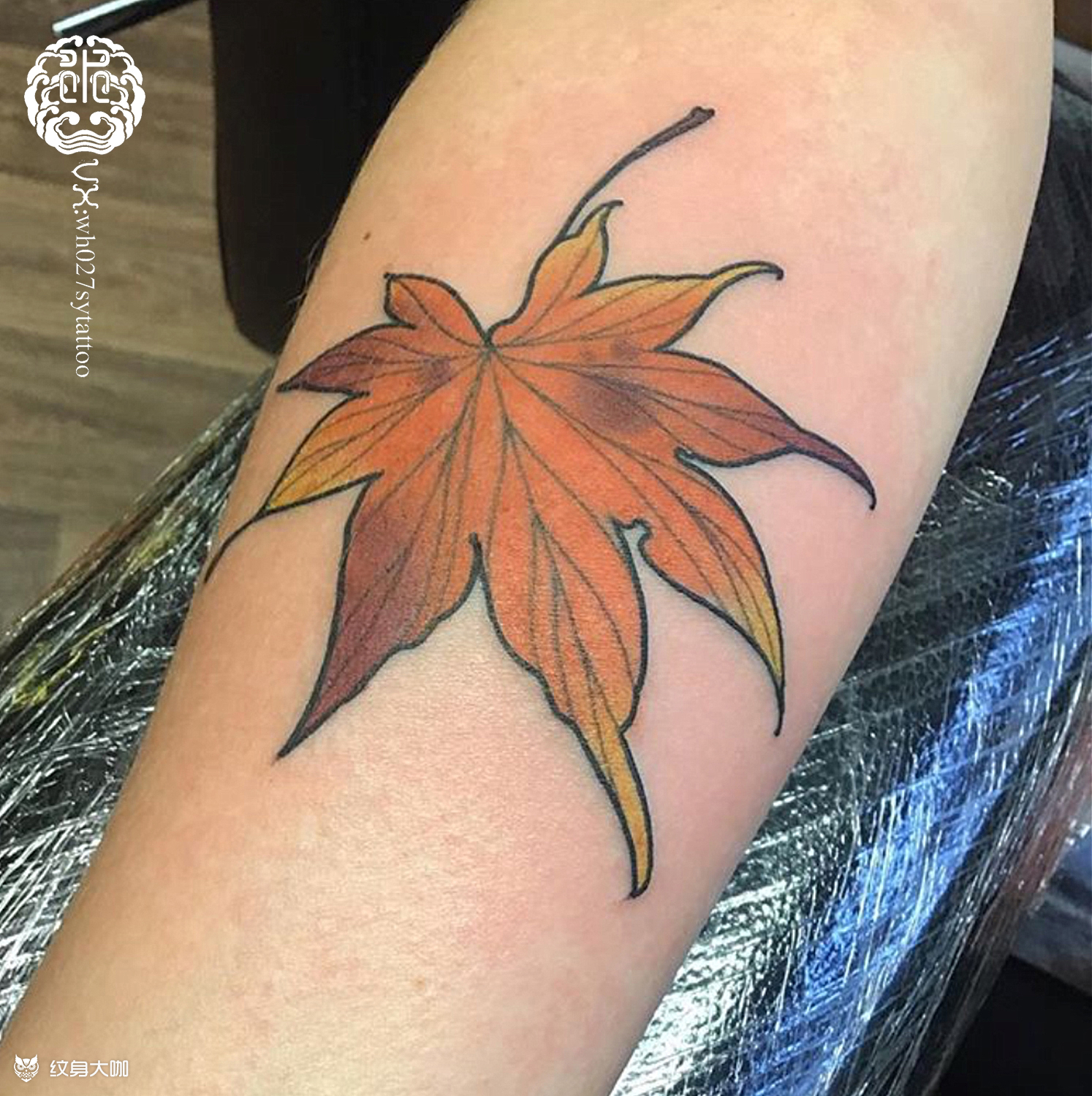 枫叶_纹身图案手稿图片_水异的纹身作品集