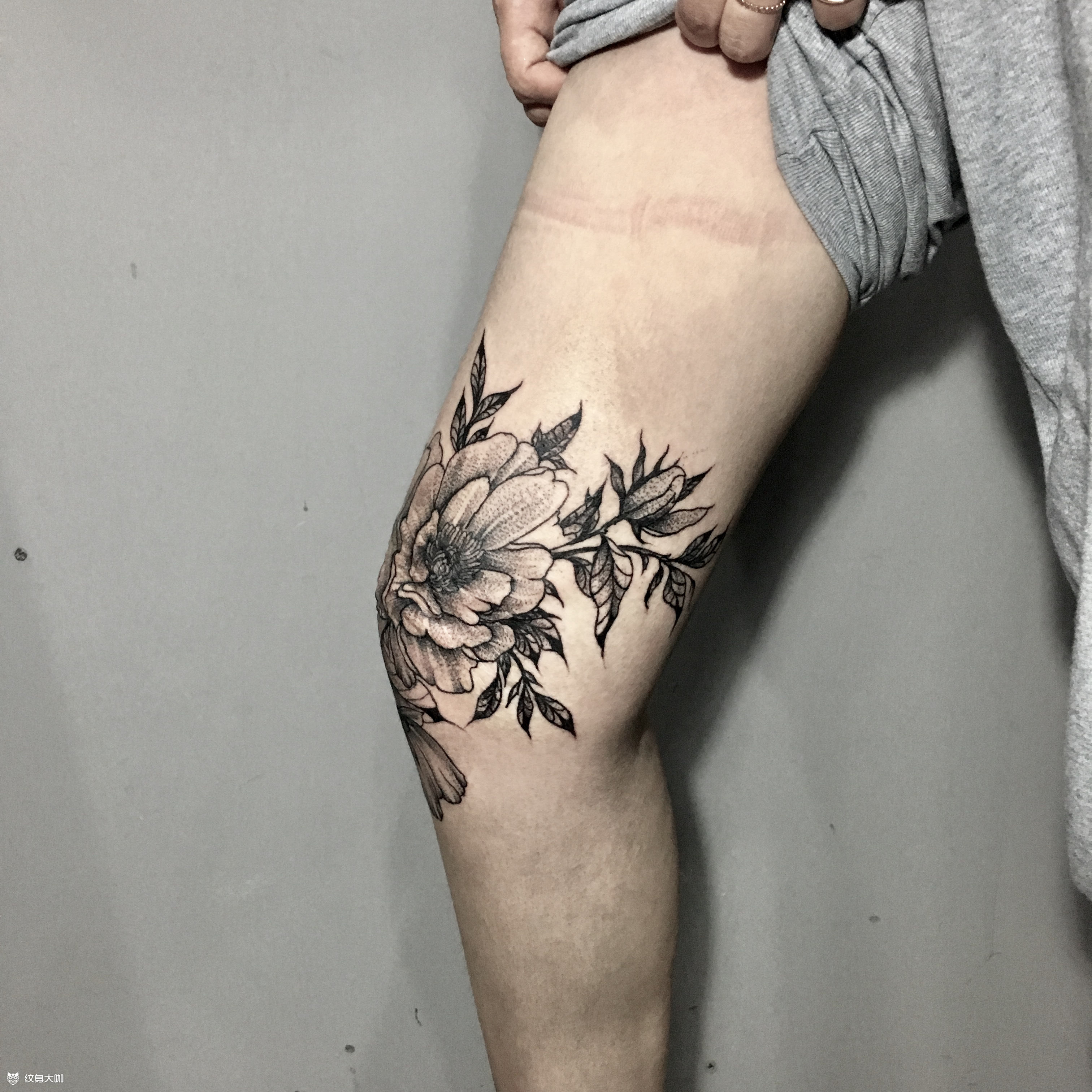 膝盖素花_纹身图案手稿图片_小v的纹身作品集