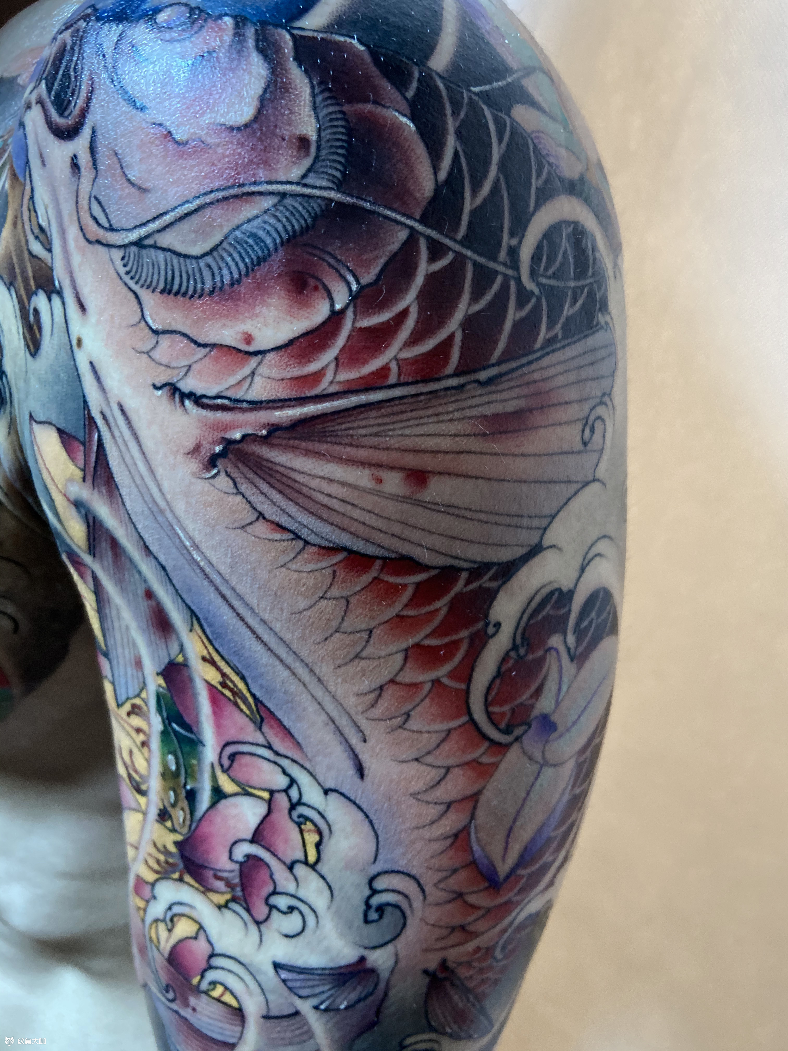 鲤鱼半胛 手臂 胸部 新传统 作品简介:无