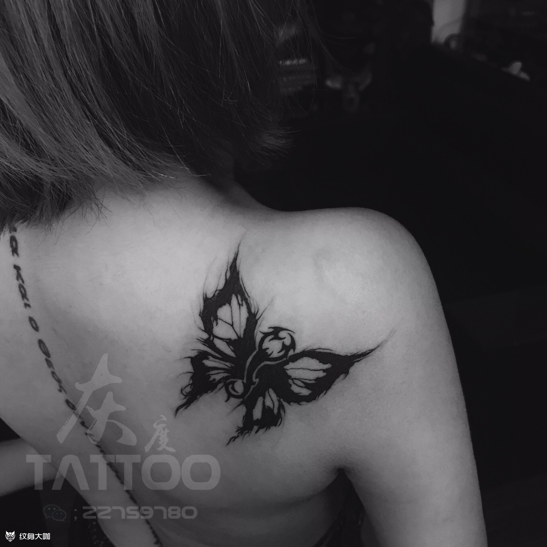 蝴蝶_纹身图案手稿图片_灰度-奎的纹身作品集