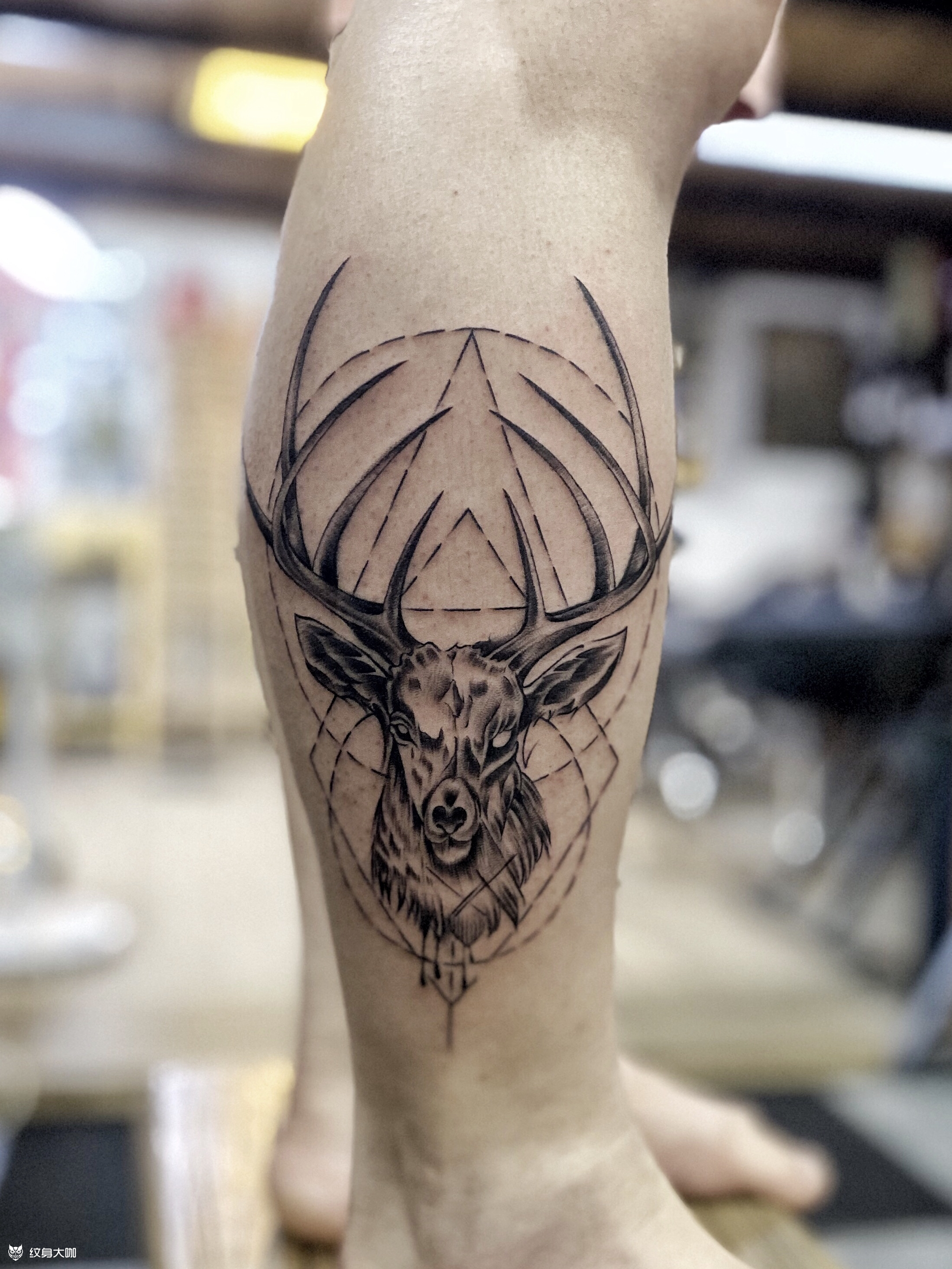 鹿头_纹身图案手稿图片_林景的纹身作品集