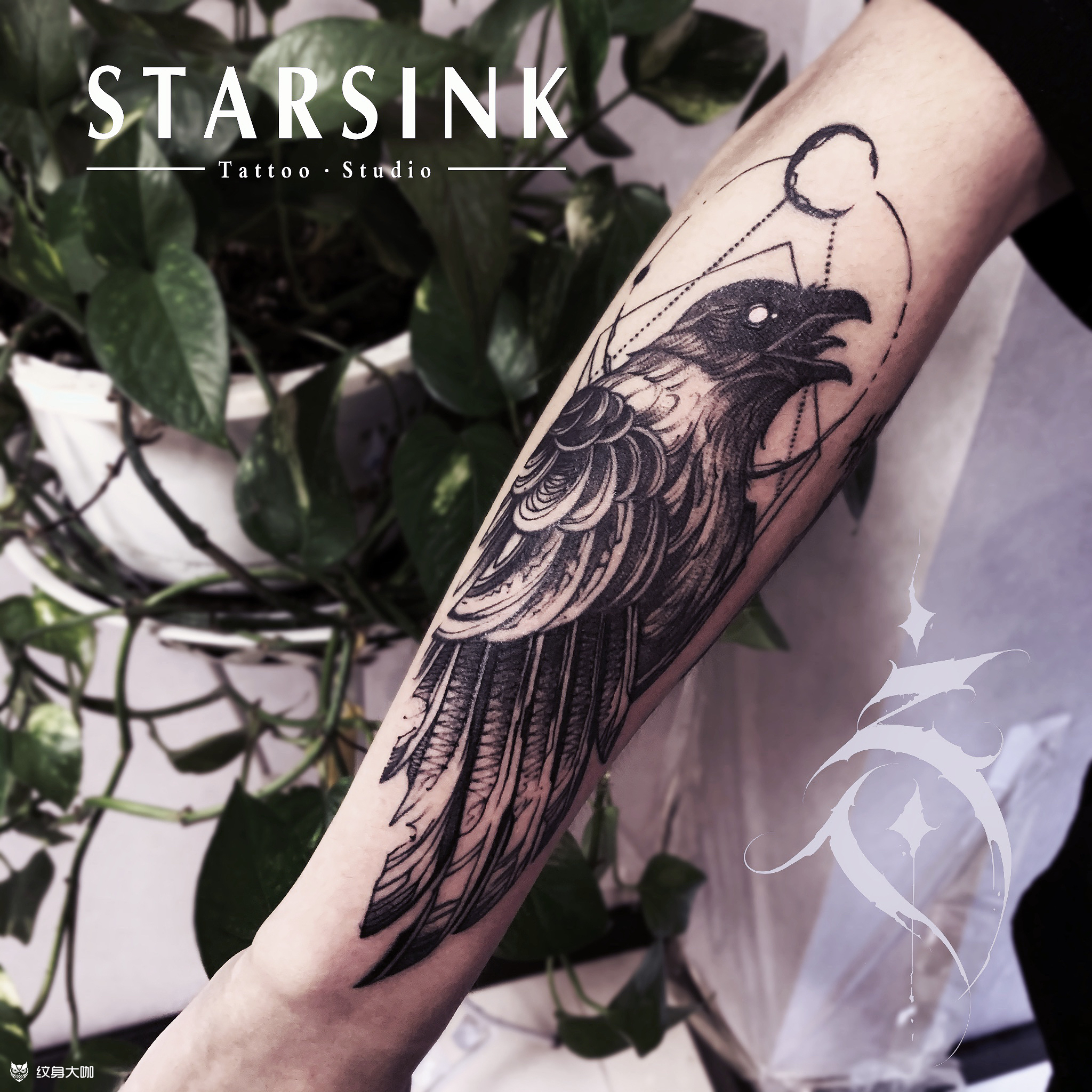 暗黑风格·乌鸦_纹身图案手稿图片_十三的纹身作品集