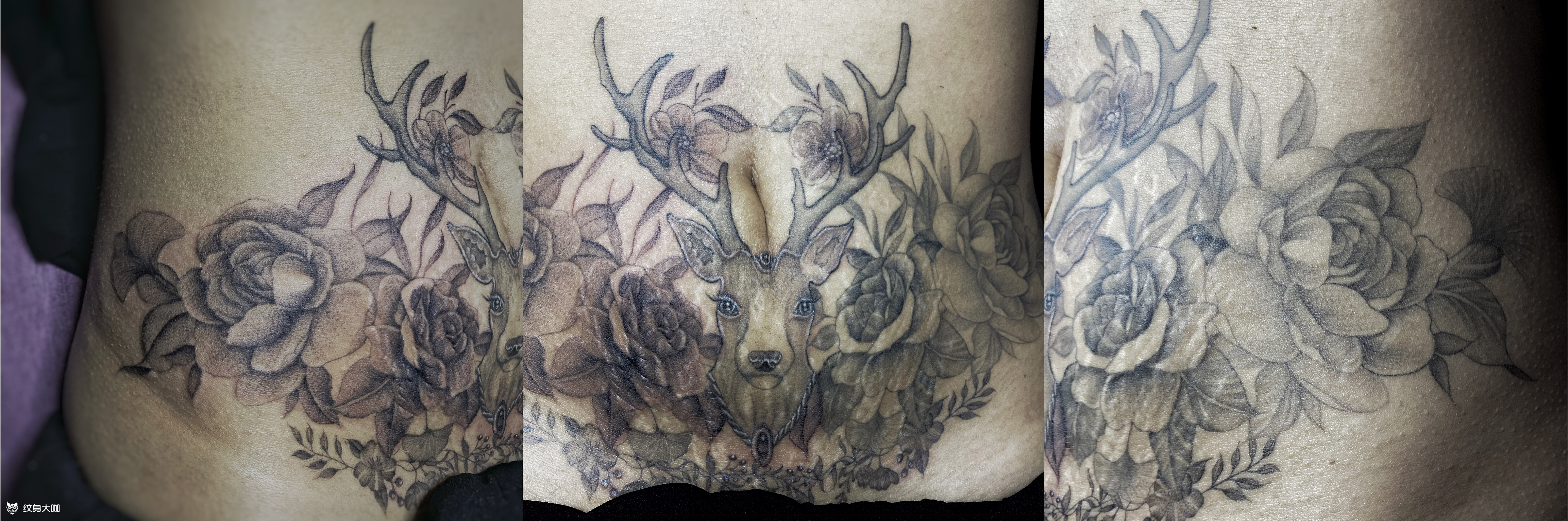 遮盖妊娠纹_纹身图案手稿图片_啊飒的纹身作品集