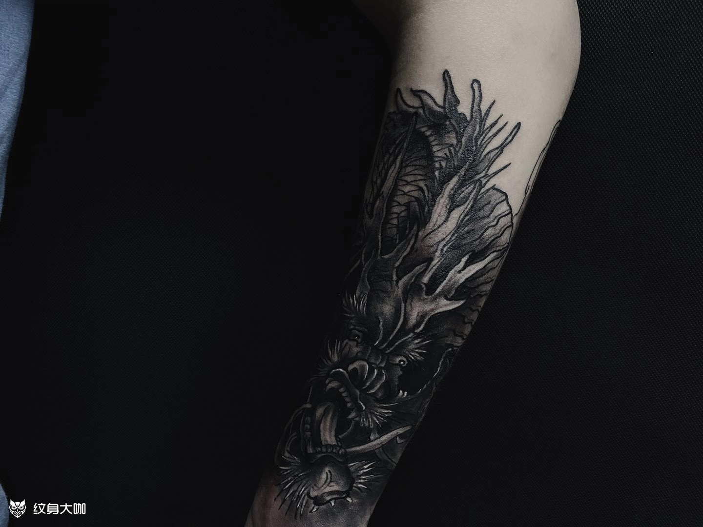 小臂龙哮_纹身图案手稿图片_一鹏t attoo的纹身作品集