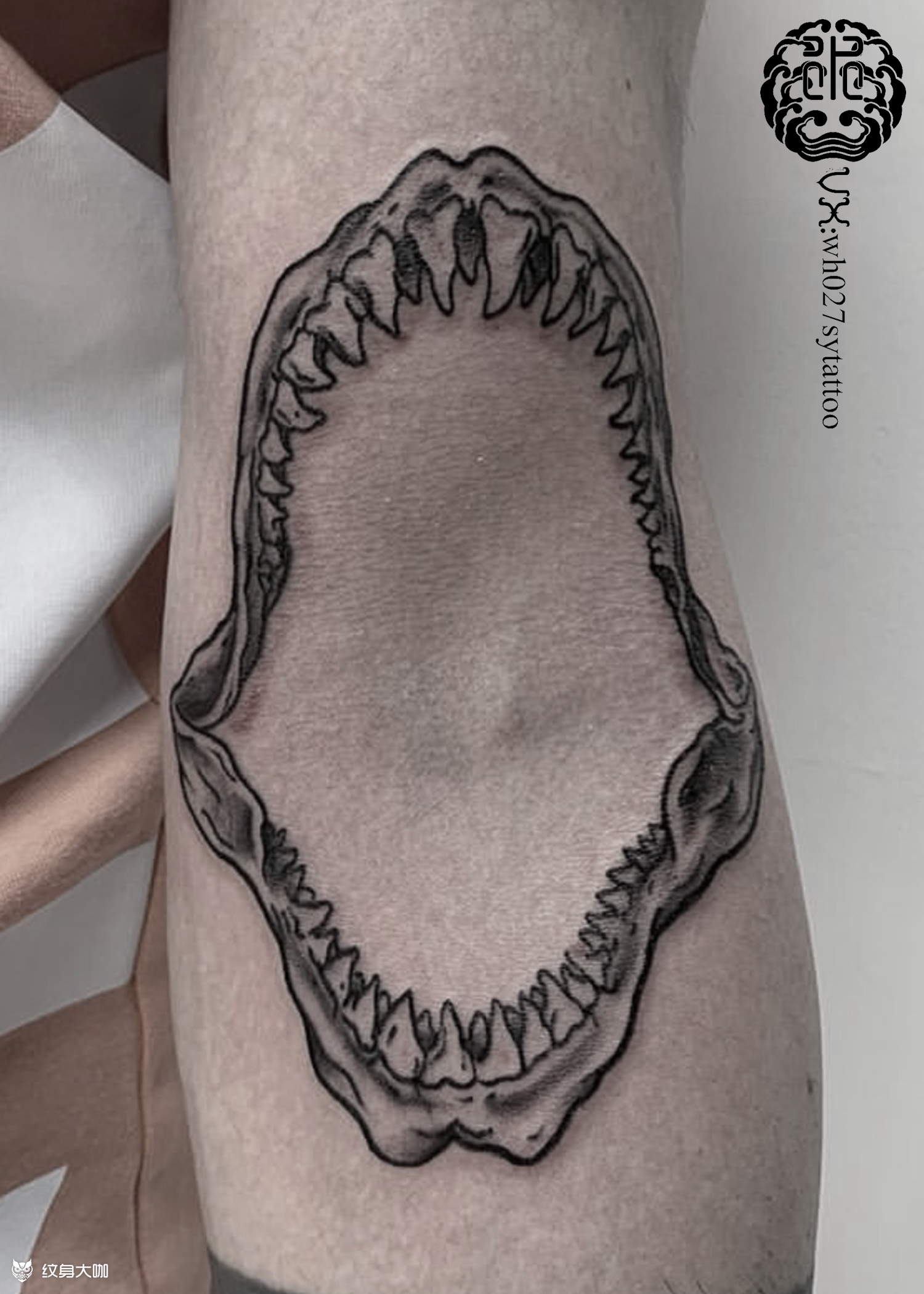 鲨鱼牙_纹身图案手稿图片_水异的纹身作品集