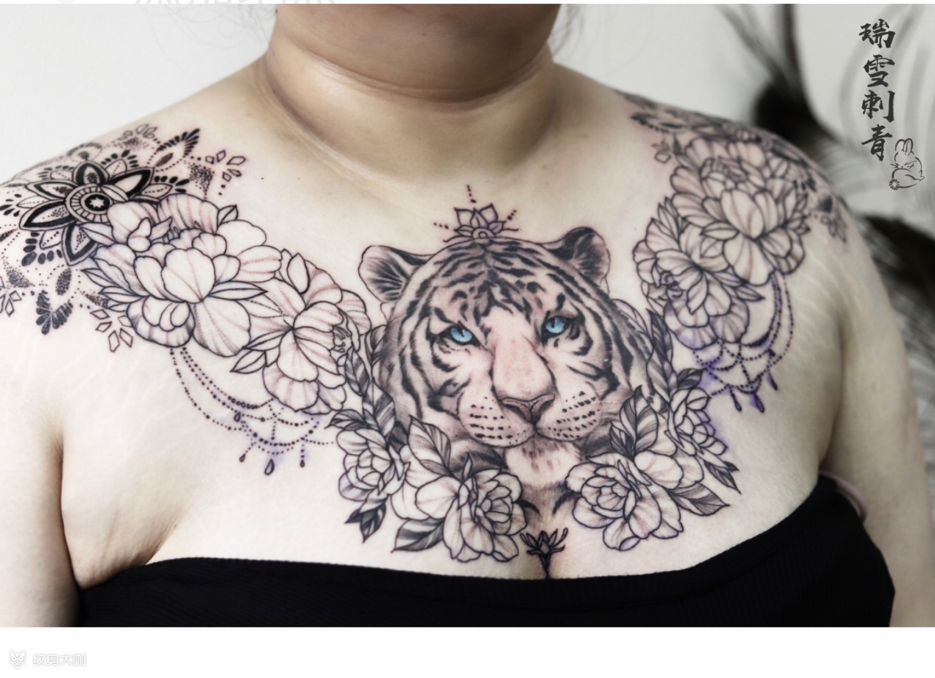 花胸老虎_纹身吧社区 - 纹身大咖