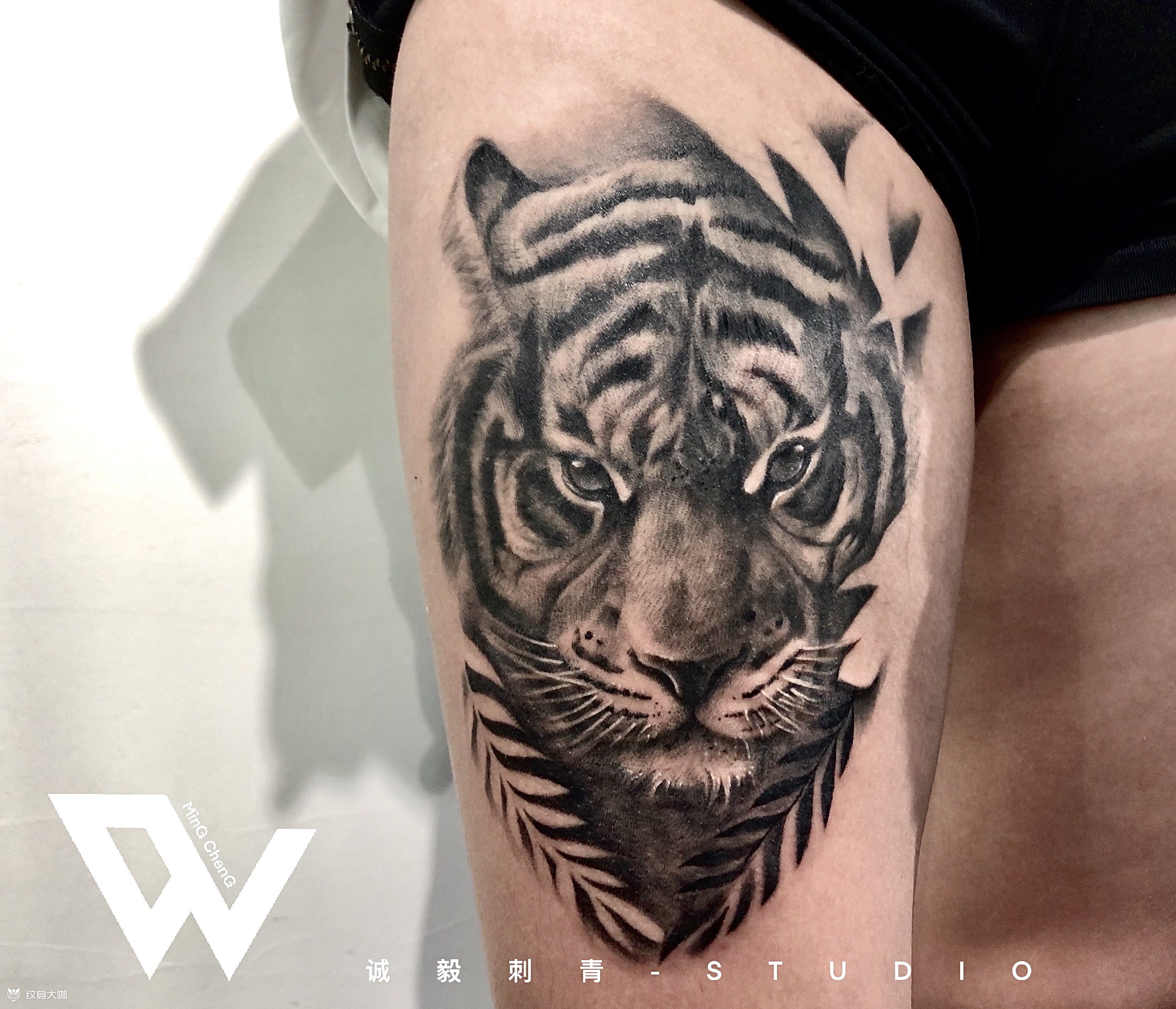 写实老虎_纹身图案手稿图片_铭 的纹身作品集