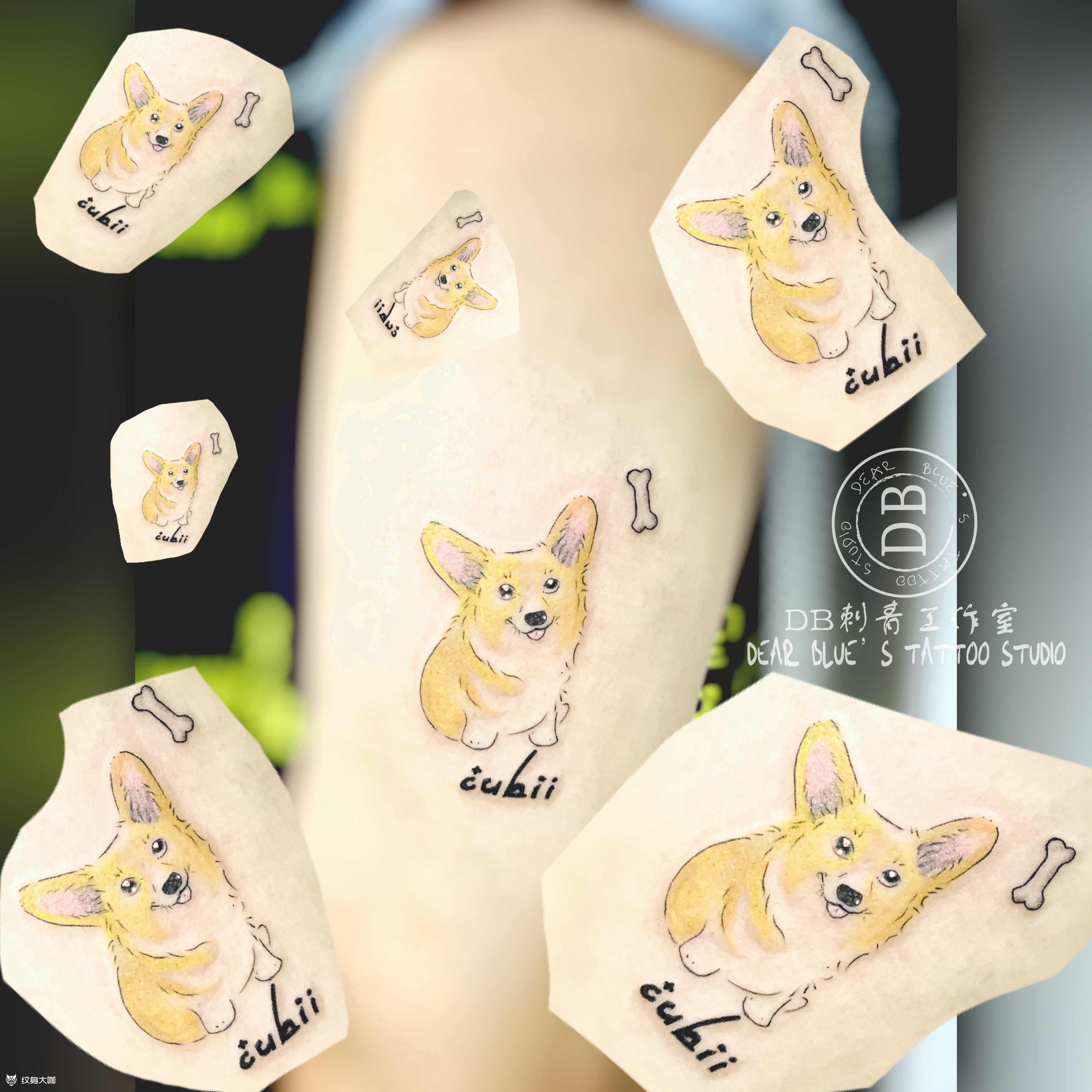 柯基犬纹身_纹身图案手稿图片_dbtattoo_bielam的纹身作品集