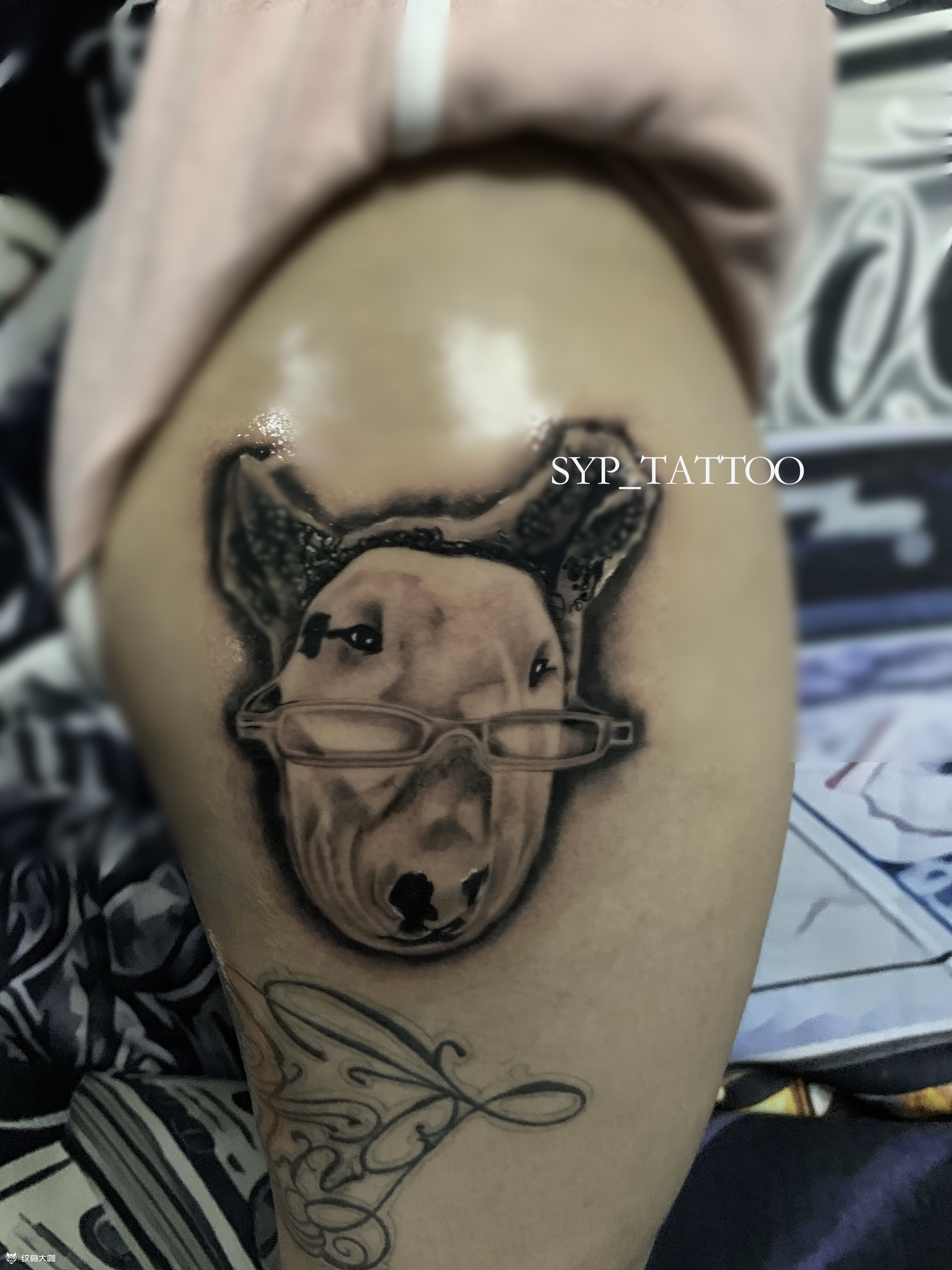 爱宠牛头梗_纹身图案手稿图片_重庆syptattoo的纹身作品集
