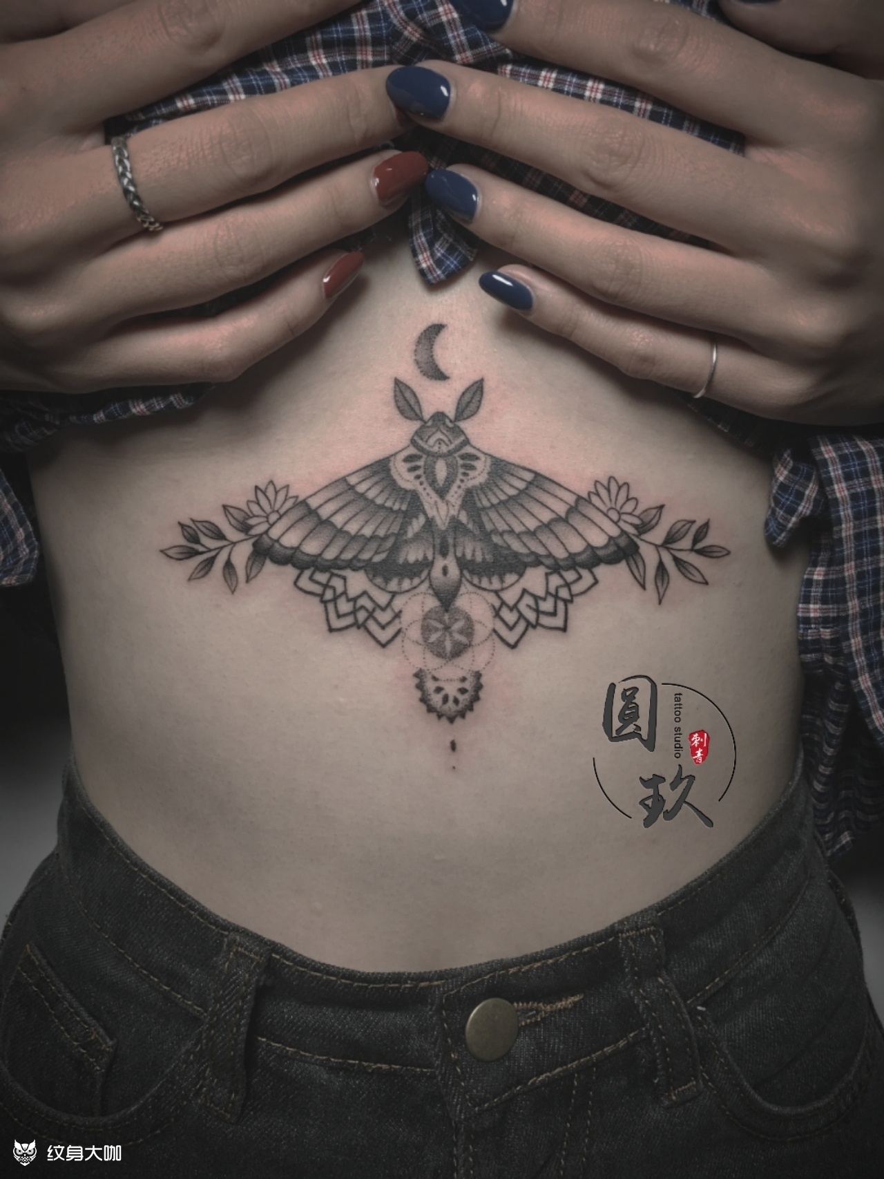 胸下飞蛾_纹身图案手稿图片_圆玖-的纹身作品集