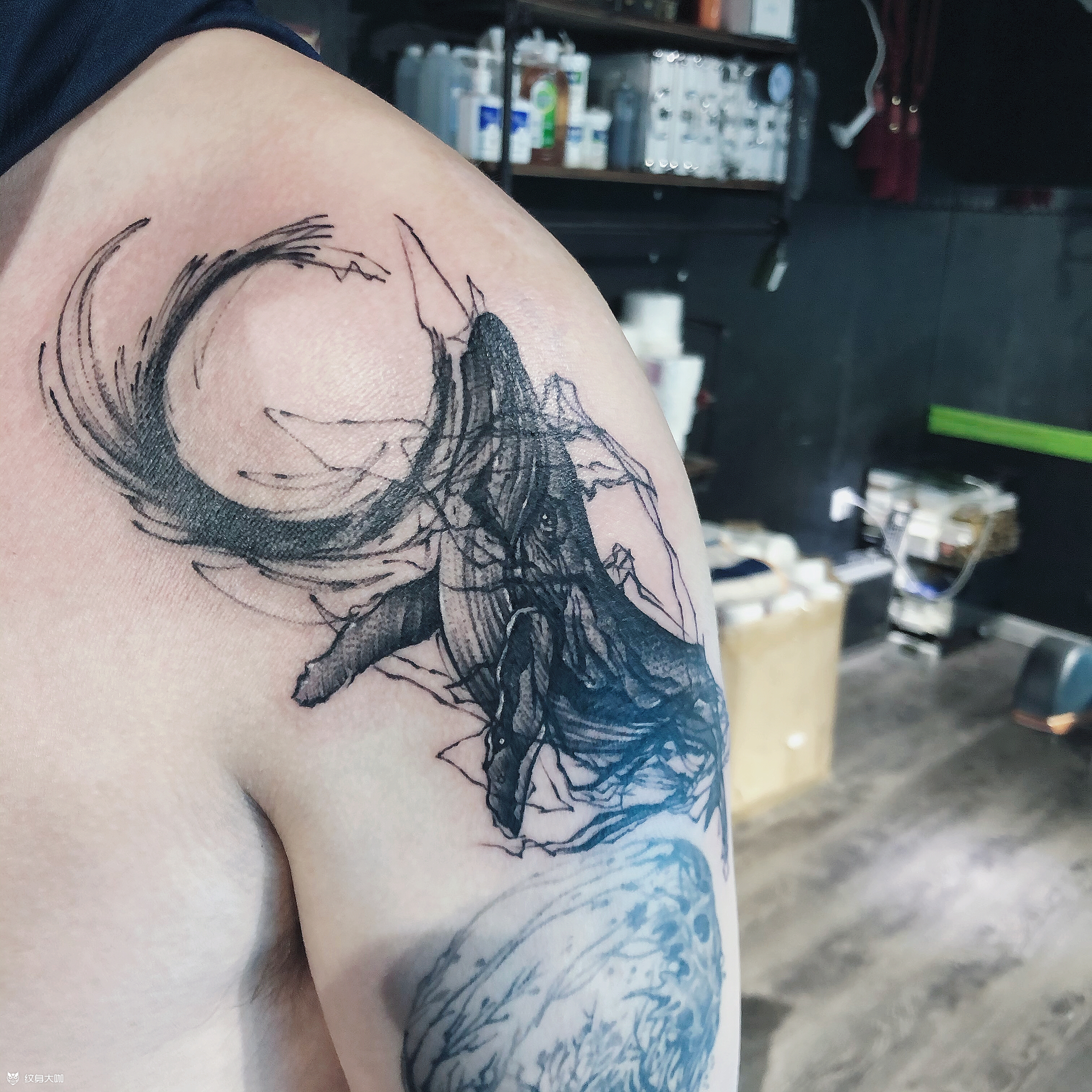 鲸鱼_纹身图案手稿图片_白强的纹身作品集
