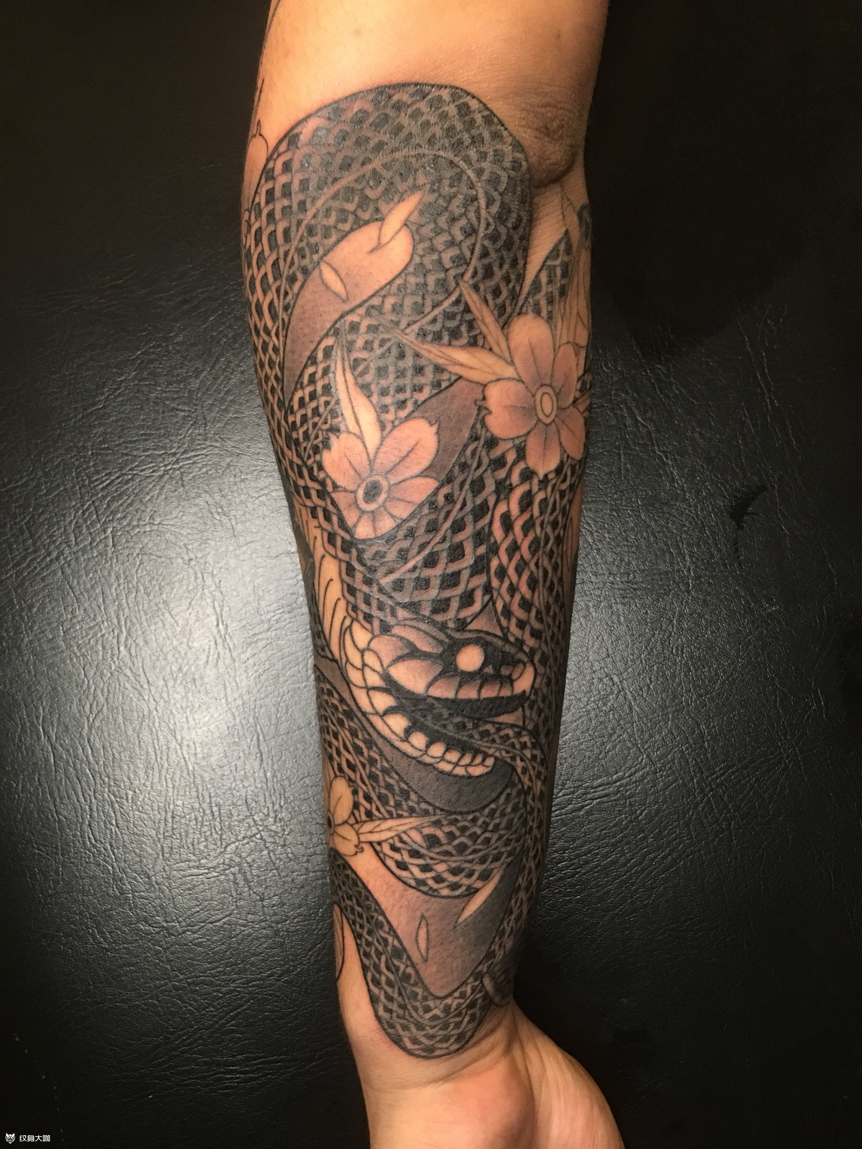 小臂 蛇_纹身图案手稿图片_郑纪清的纹身作品集