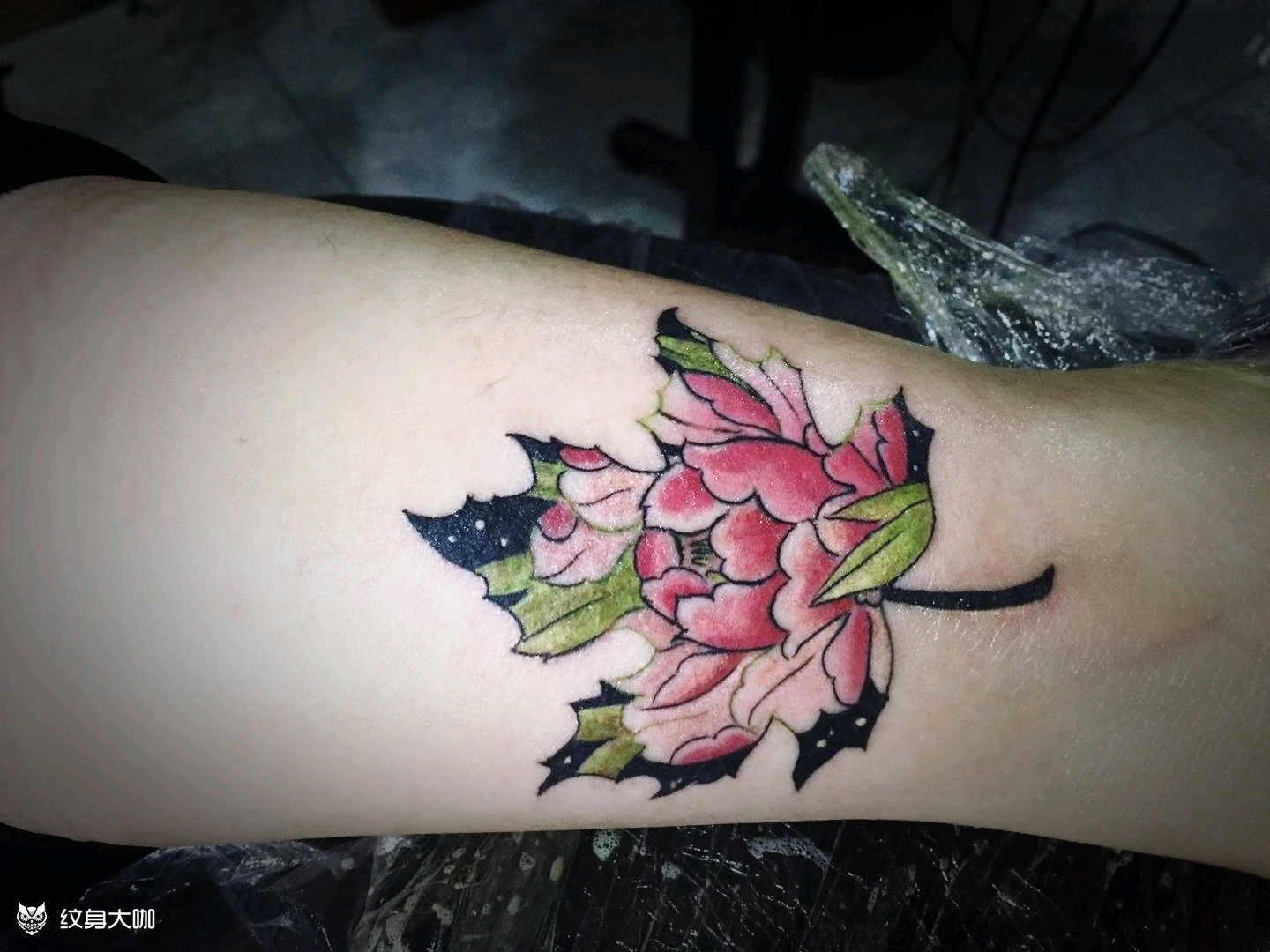 脚踝小枫叶_纹身图案手稿图片_墨魁堂的纹身作品集