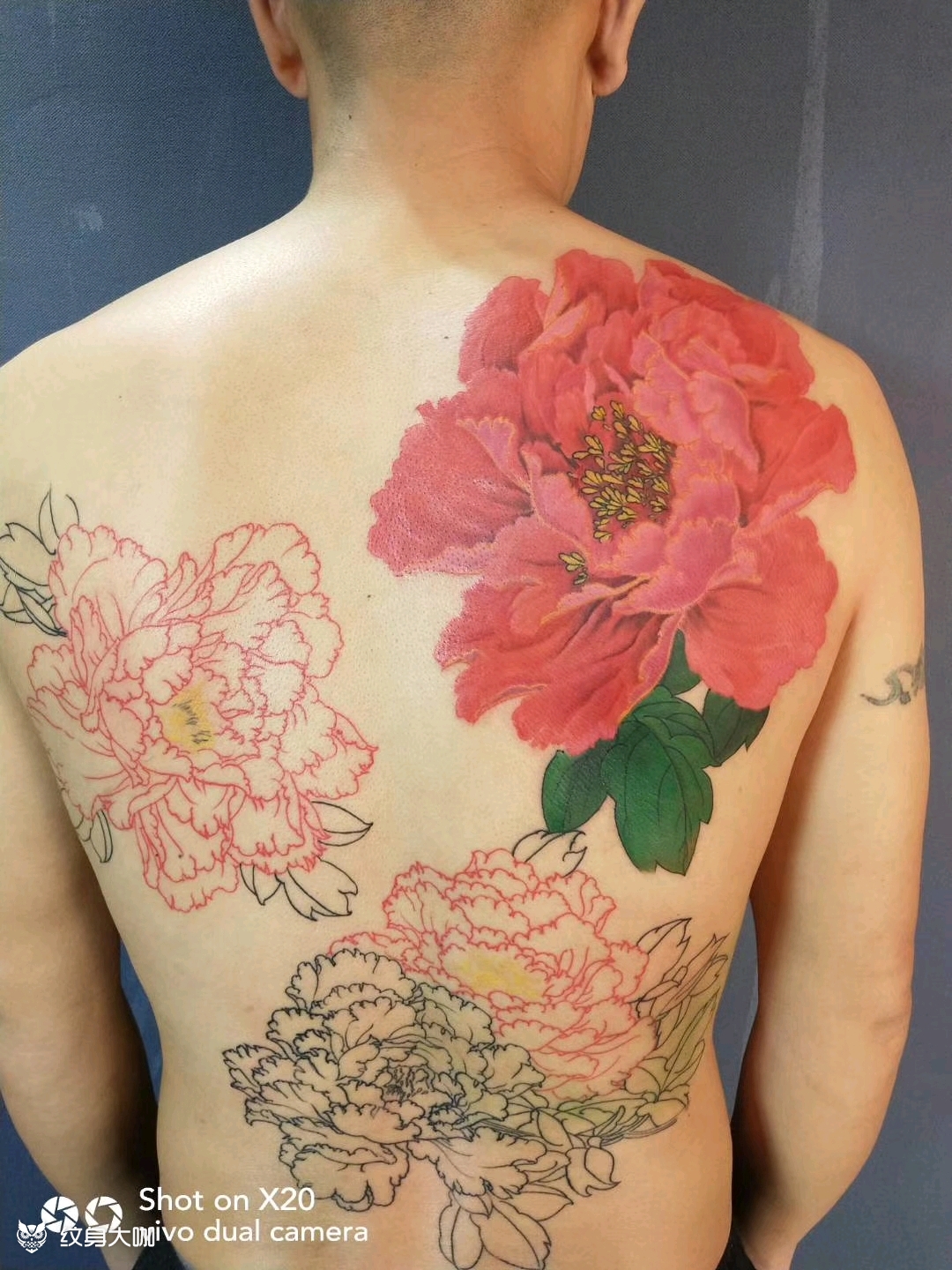 满背牡丹_纹身图案手稿图片_雕方的纹身作品集