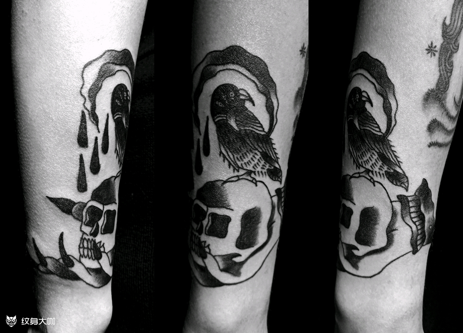 骷髅与三眼乌鸦_纹身图案手稿图片_holy的纹身作品集
