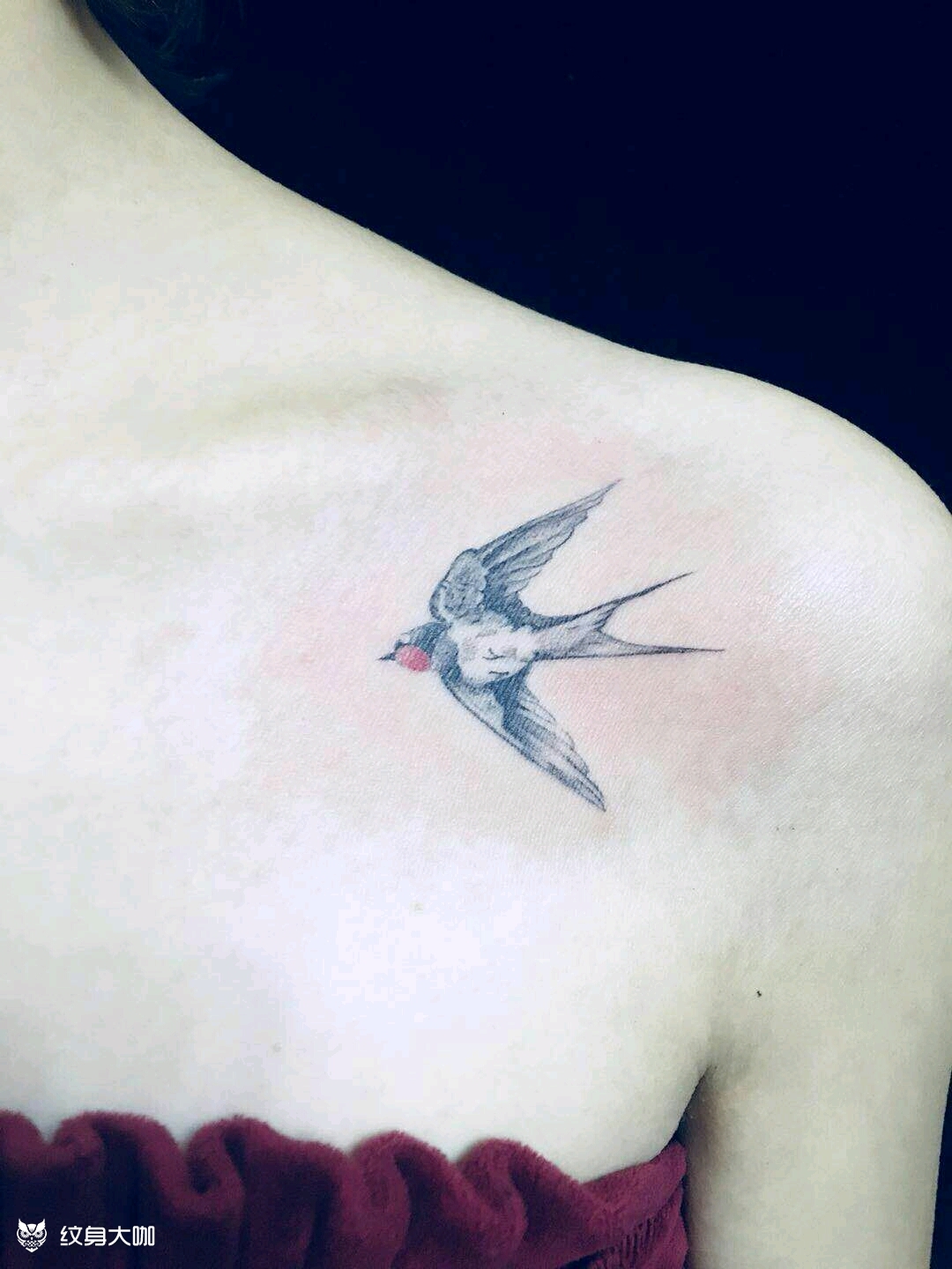 张云雷的燕子纹身图片