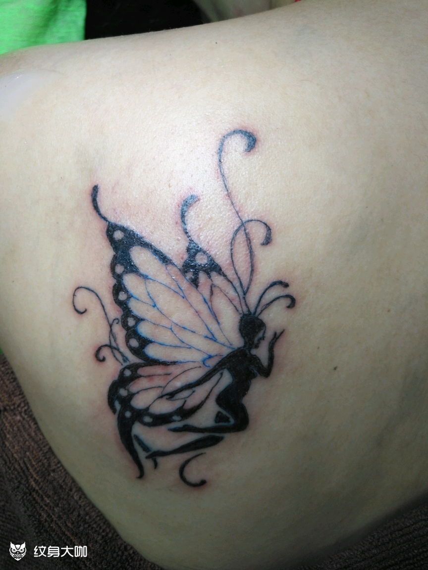 蝴蝶天使_纹身图案手稿图片_朱家强的纹身作品集