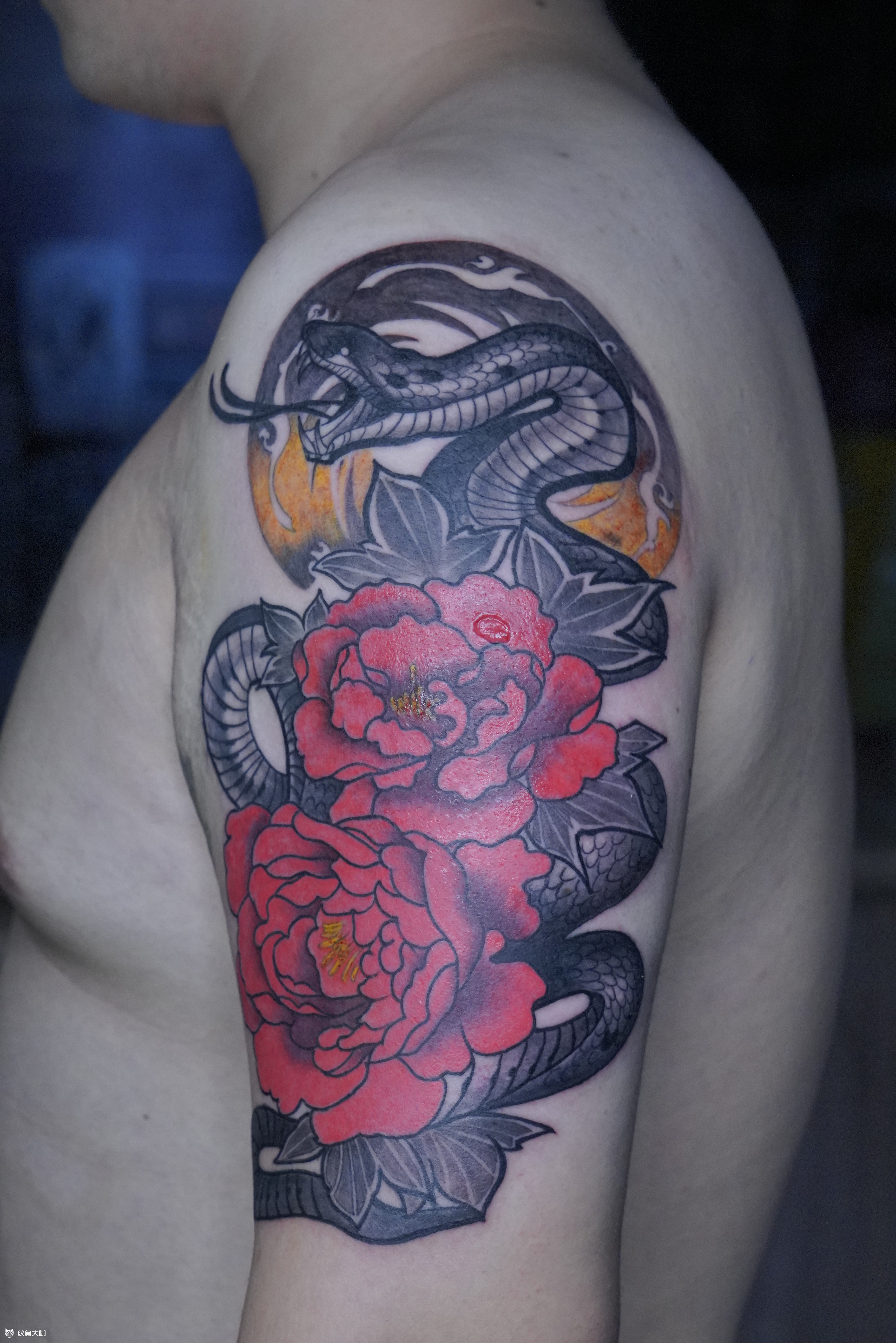 蛇盘牡丹_纹身图案手稿图片_常州-金坛雕墨的纹身作品集