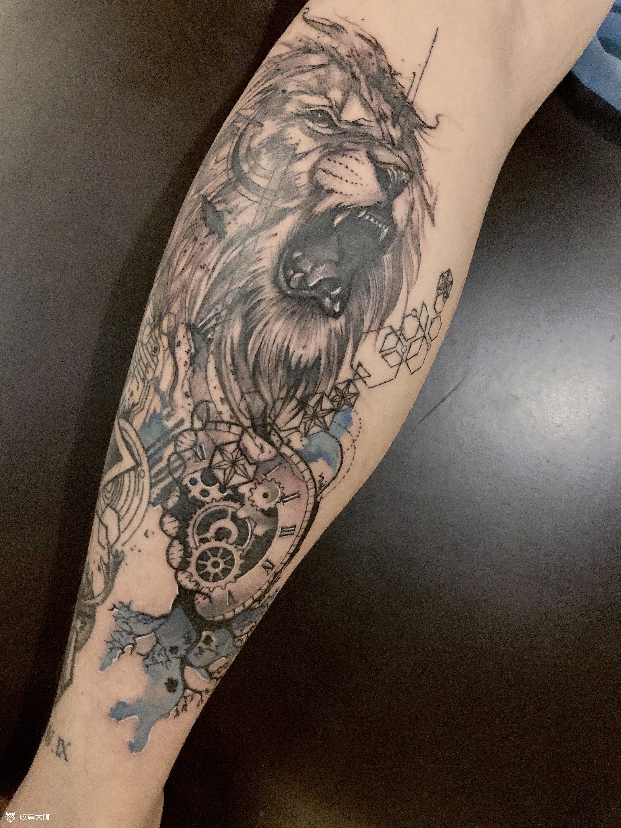 几何水彩泼墨狮子_纹身图案手稿图片_kitty_倩倩的纹身作品集