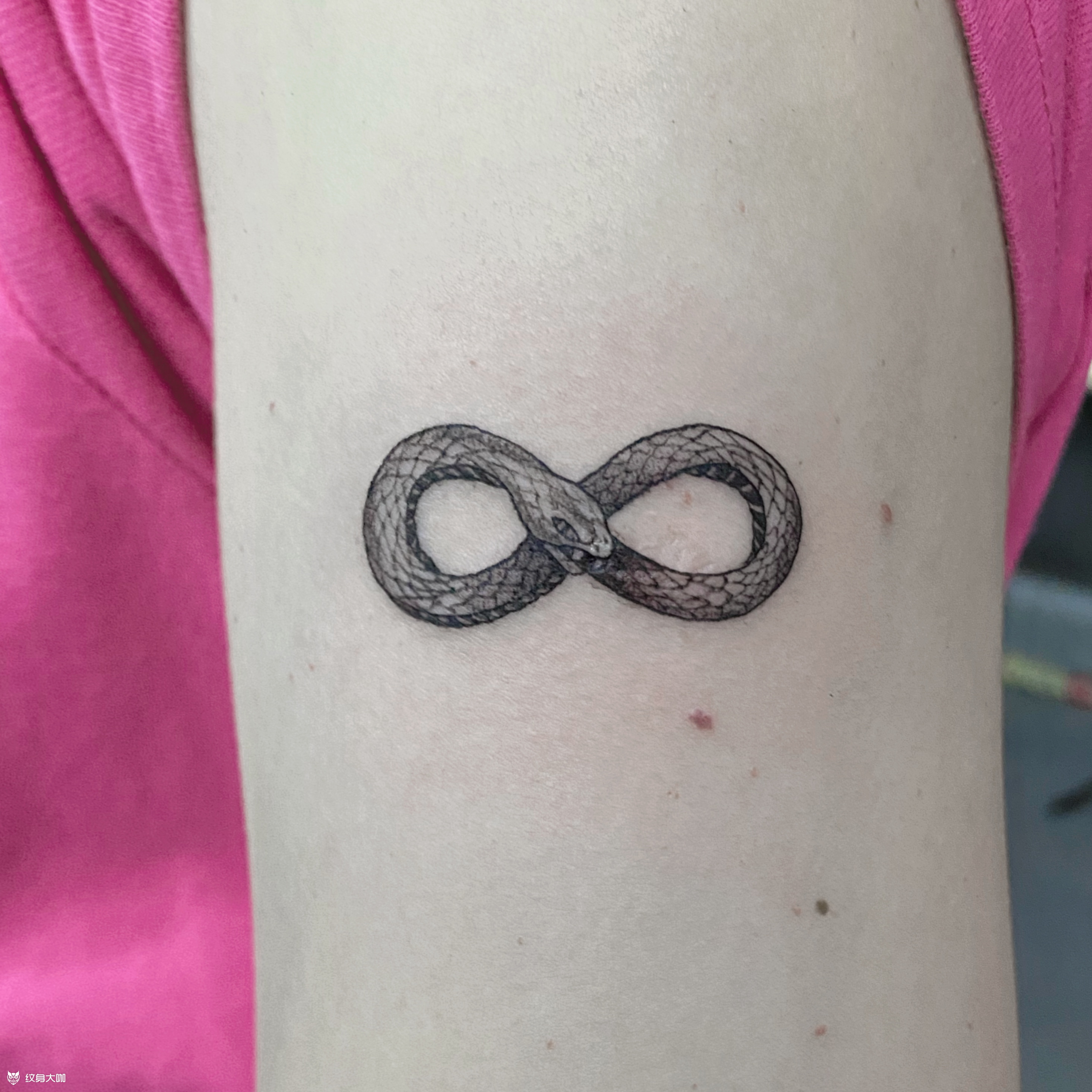 莫比乌斯环蛇_纹身图案手稿图片_黄子睿的纹身作品集
