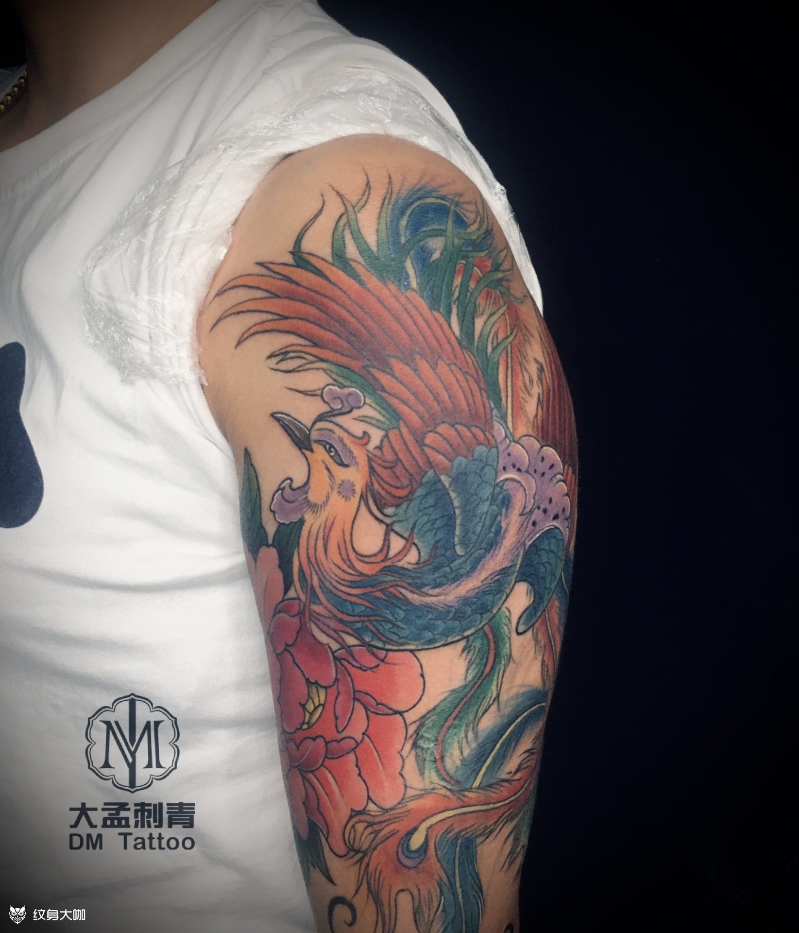 彩色凤凰_纹身图案手稿图片_静阿静90的纹身作品集