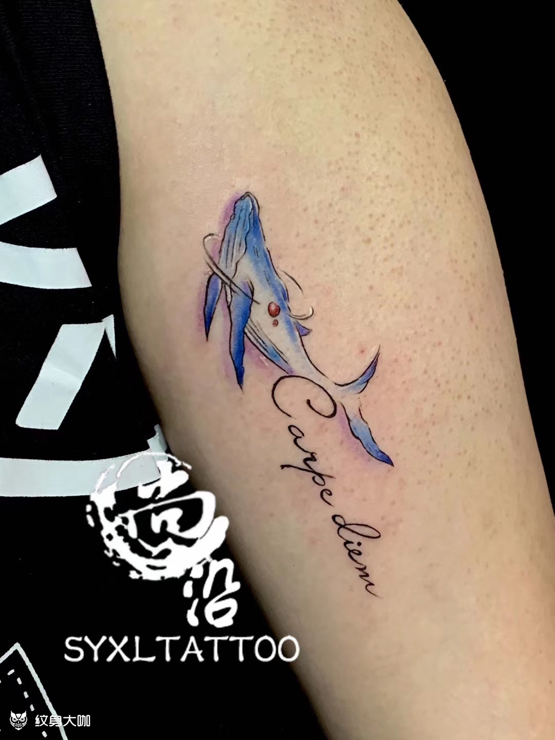 蓝鲸_纹身图案手稿图片_张敏的纹身作品集