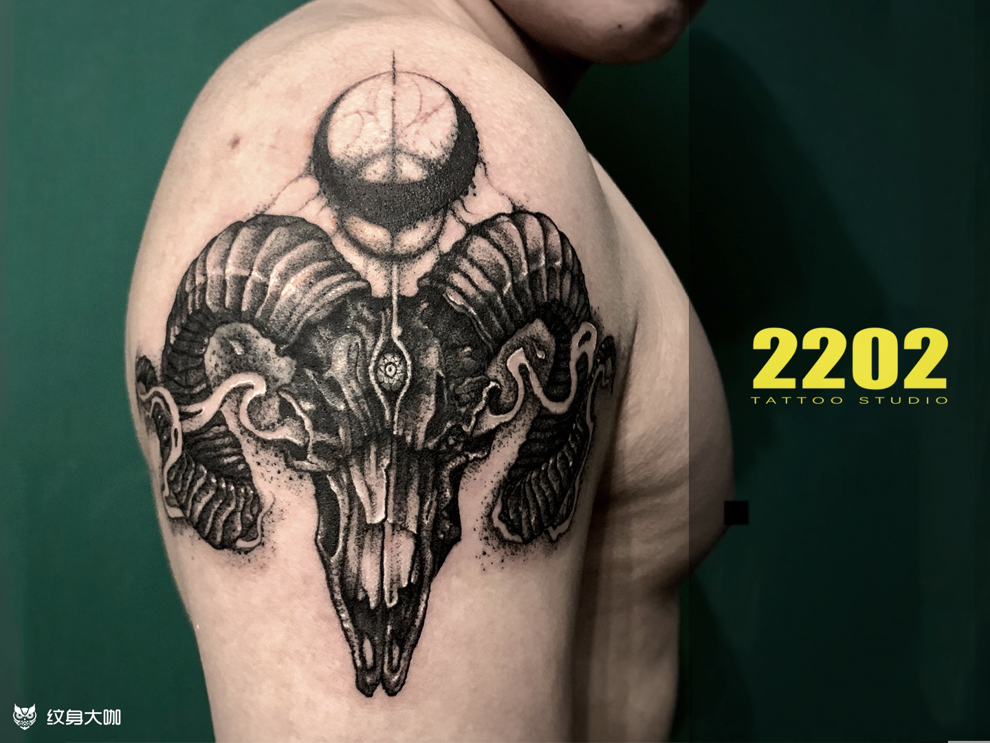 暗黑羊头遮盖_纹身图案手稿图片_2202的纹身作品集