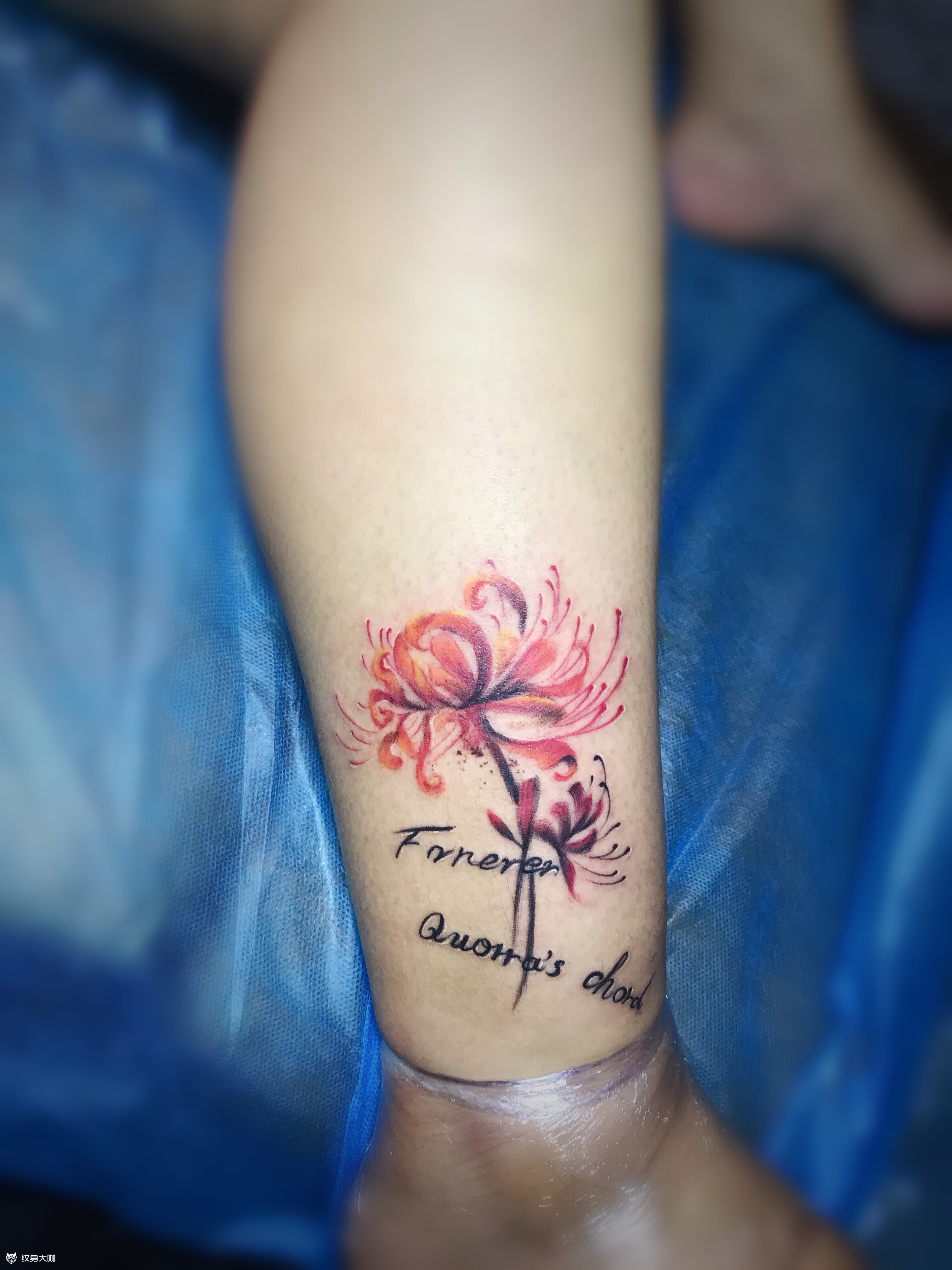 彼岸花_纹身图案手稿图片_么慧的纹身作品集