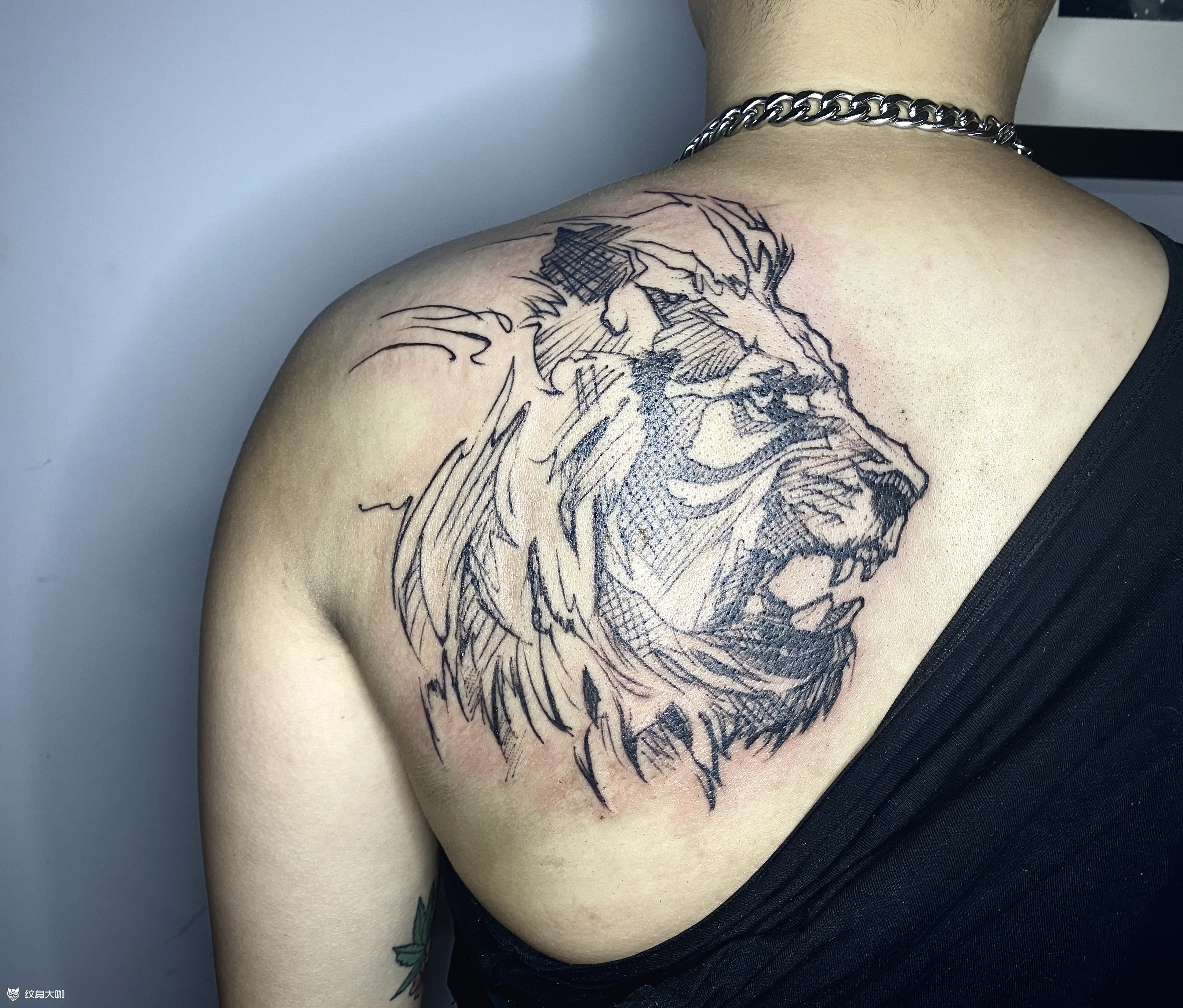 胸口狮子纹身手稿图片