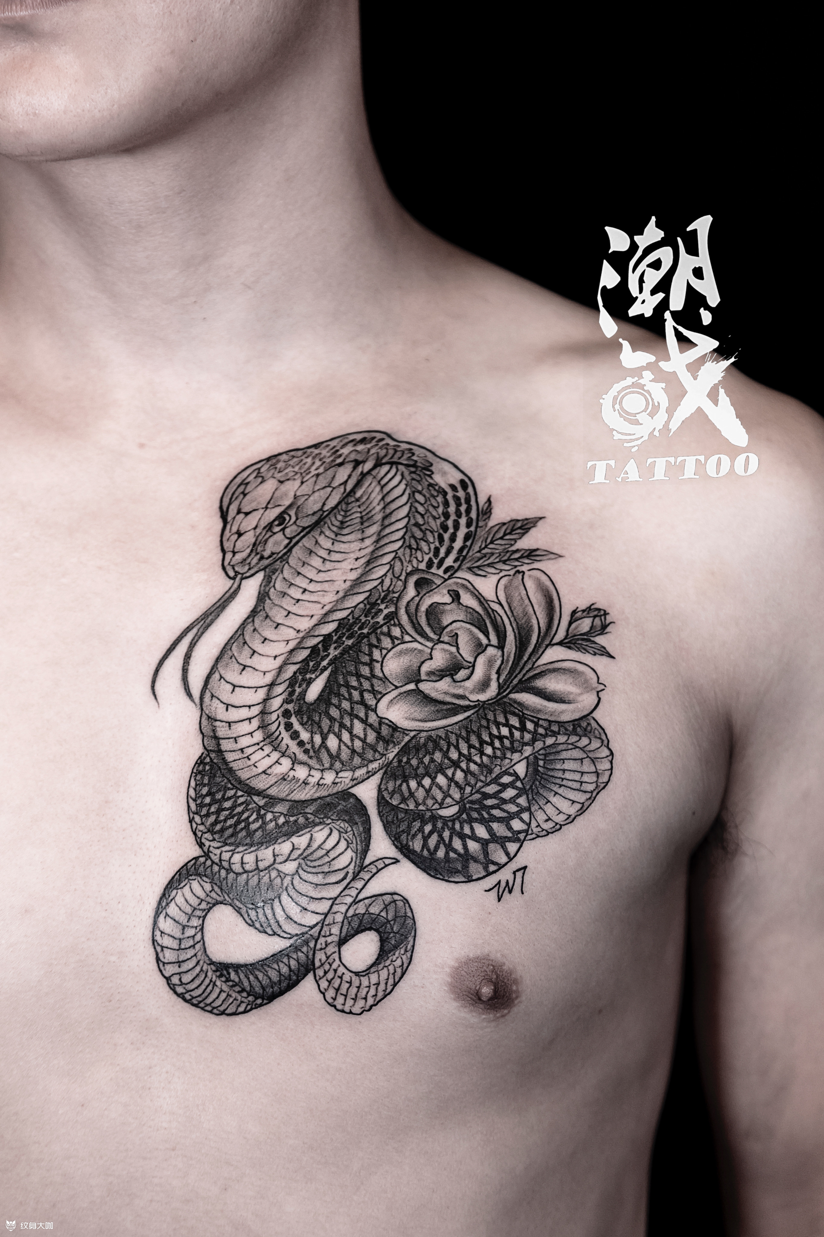 眼镜蛇_纹身图案手稿图片_小弥弥的纹身作品集