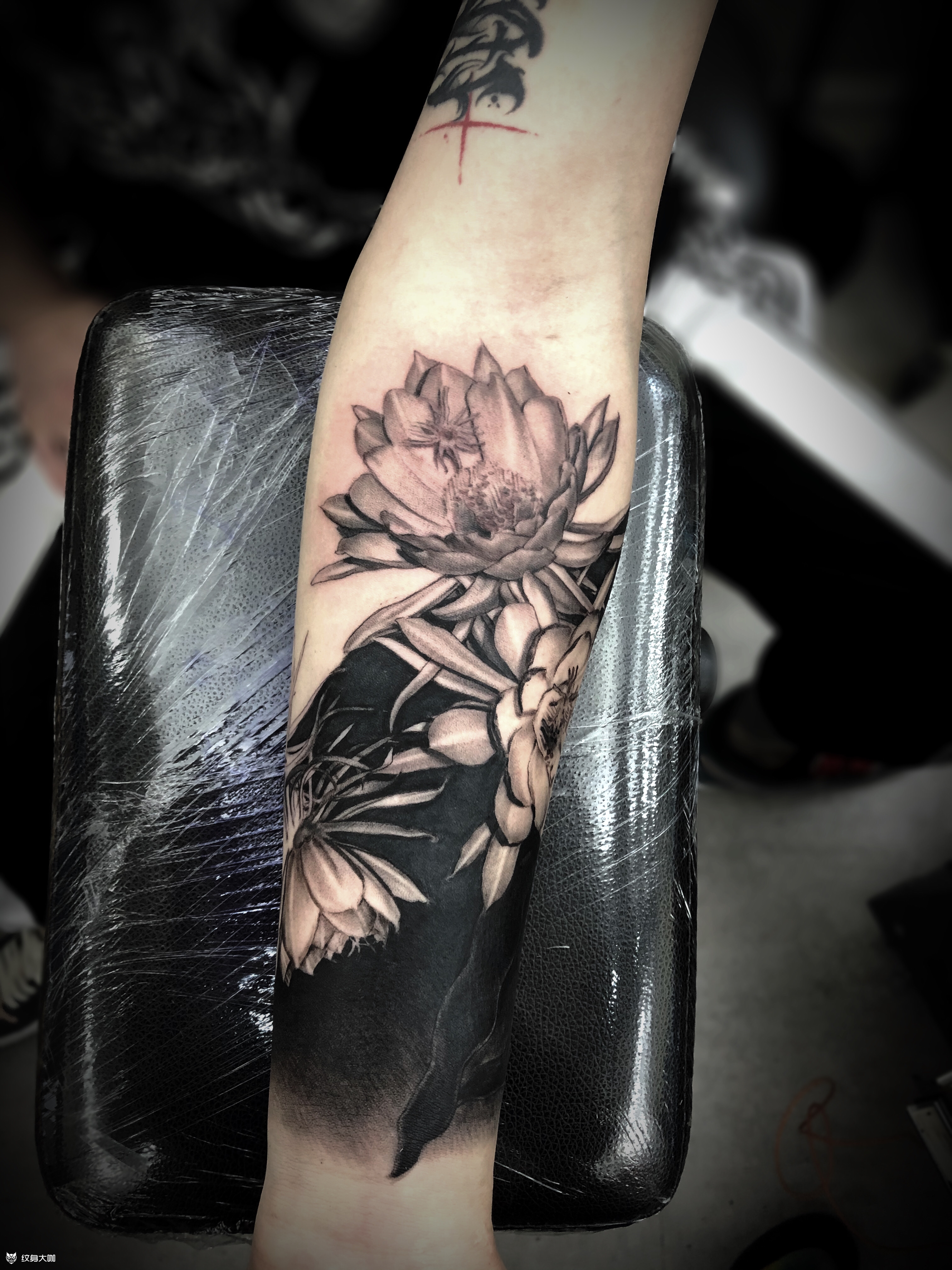 昙花 未完成两日作业花花臂_纹身吧社区 - 纹身大咖