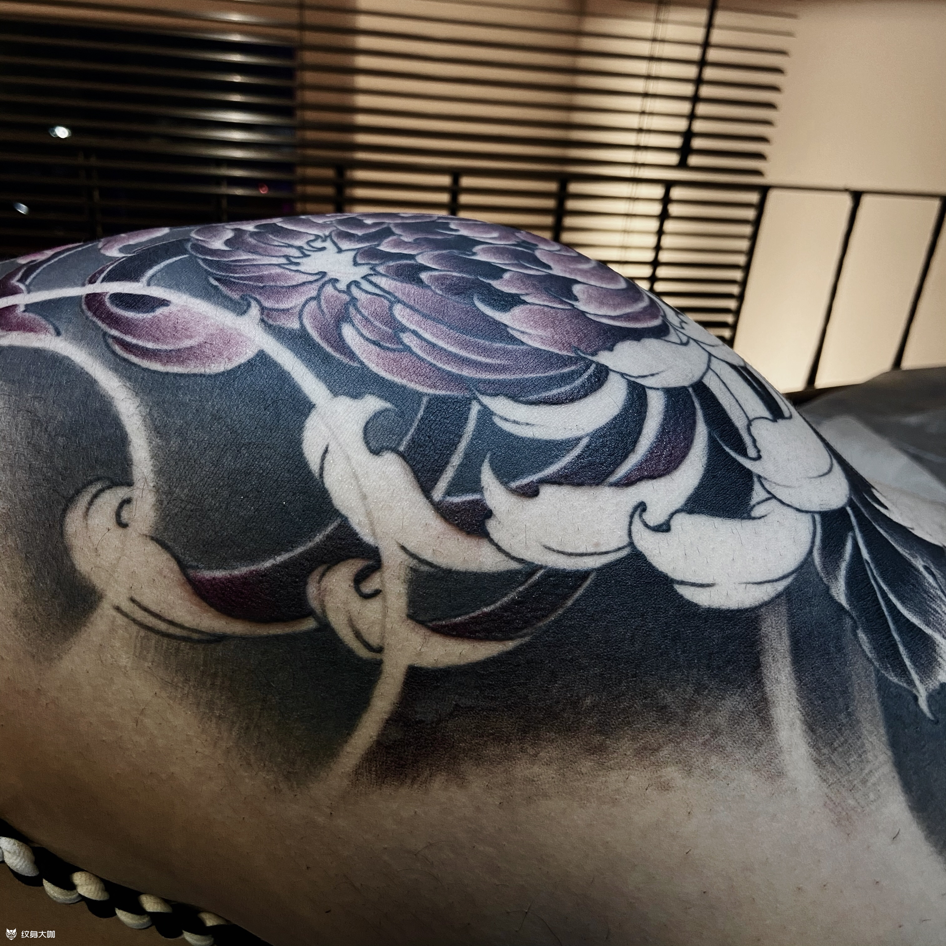 满背新传统蛇快要纹完,原创手稿_纹身吧社区 - 纹身大咖