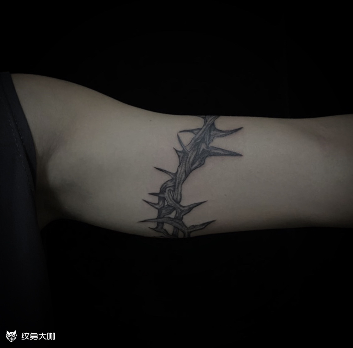 臂环 荆棘_纹身吧社区 - 纹身大咖