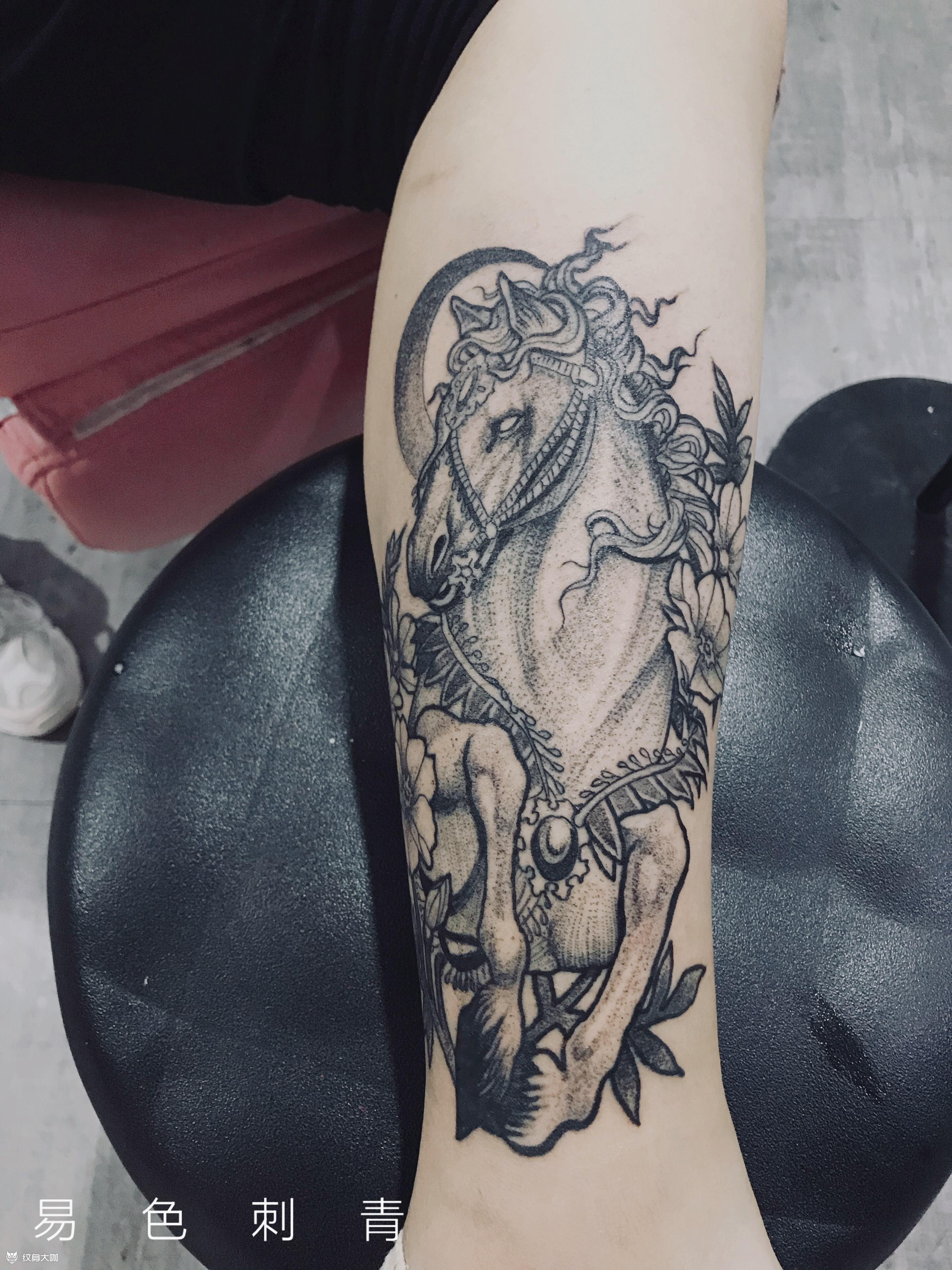 马到成功_纹身图案手稿图片_易色的纹身作品集