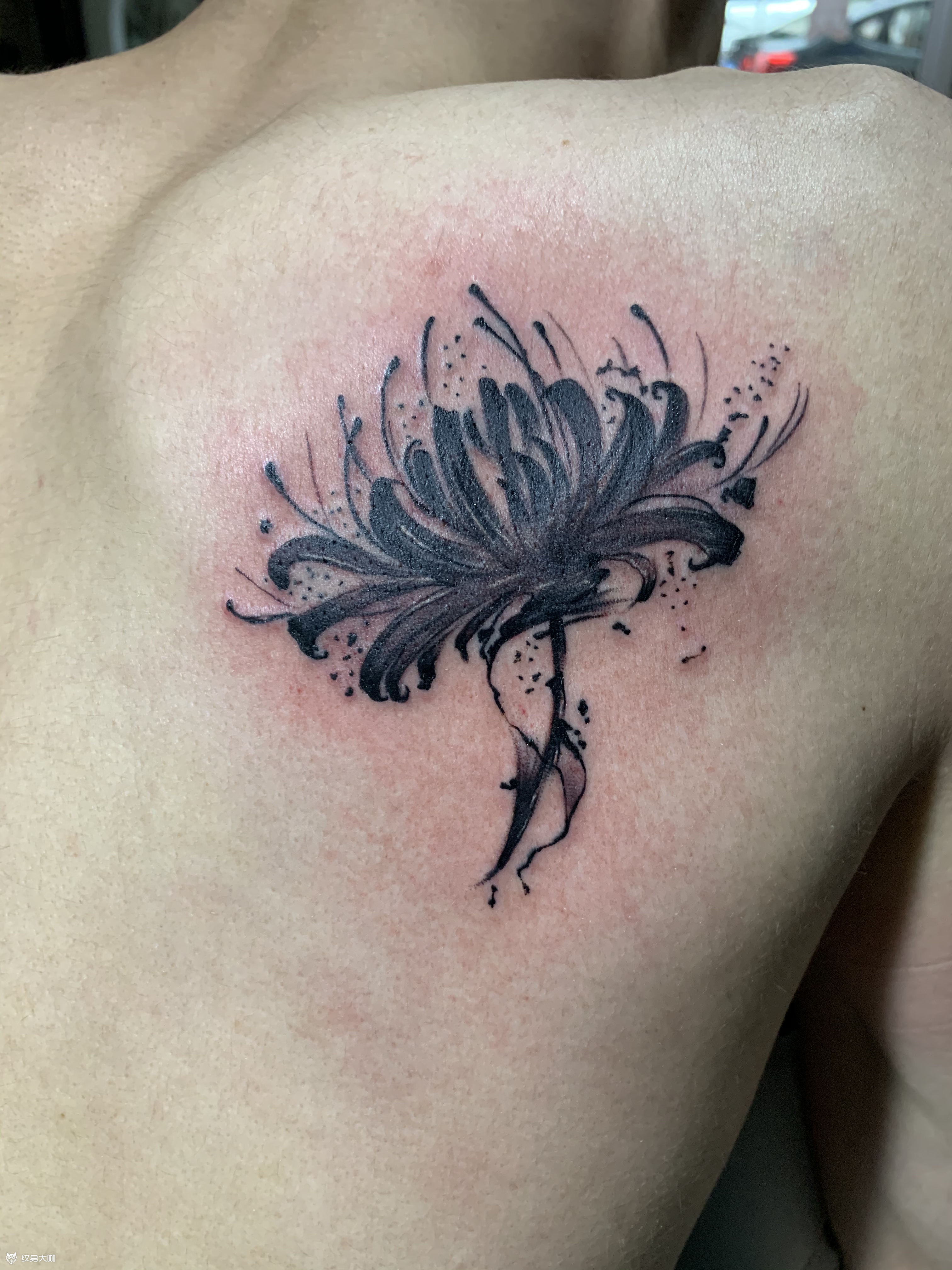 彼岸花_纹身图案手稿图片_王刚的纹身作品集