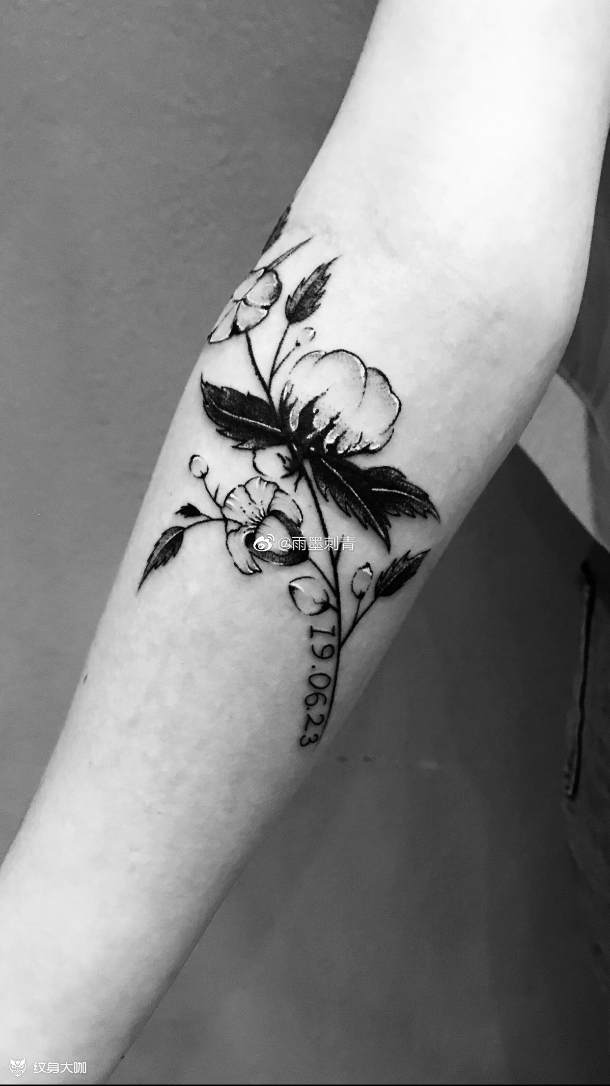 木棉花_纹身图案手稿图片_张振超的纹身作品集