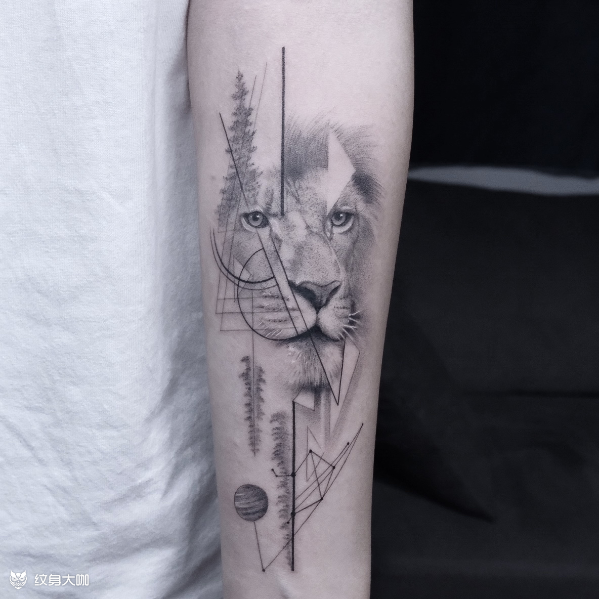 单针狮子_纹身图案手稿图片_raven的纹身作品集