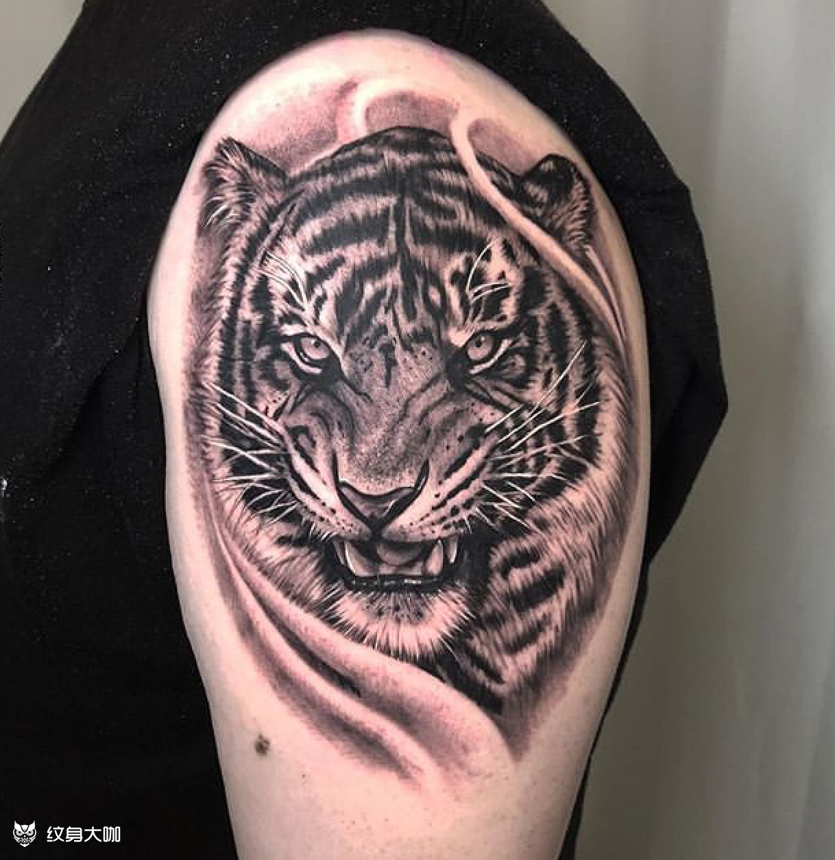 写实老虎_纹身图案手稿图片_沈阳肆的纹身作品集