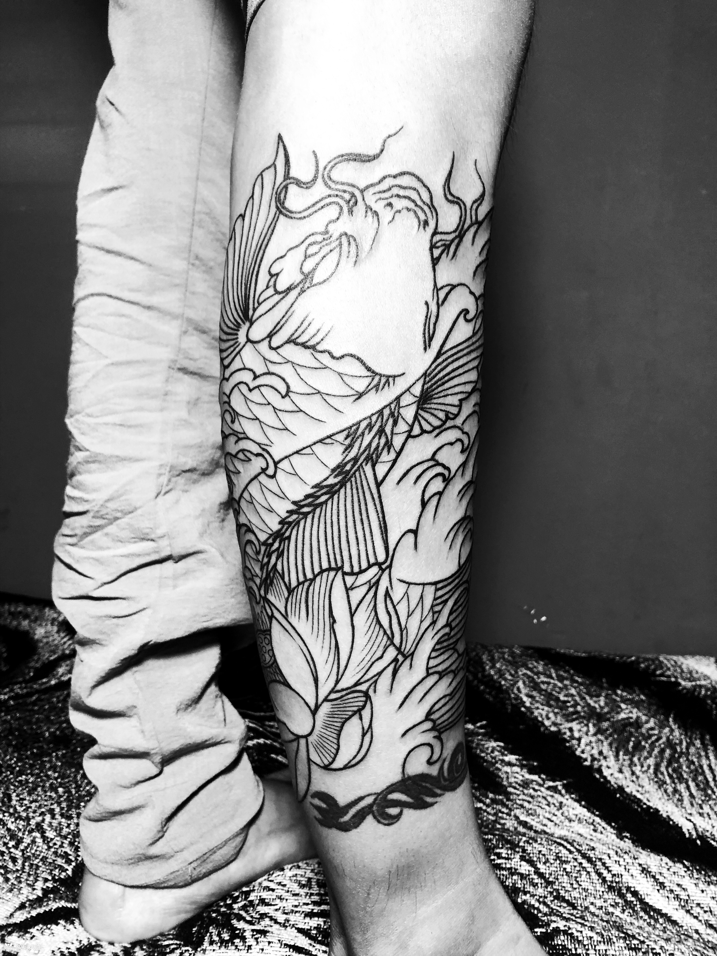 小腿鲤鱼纹身手稿图片